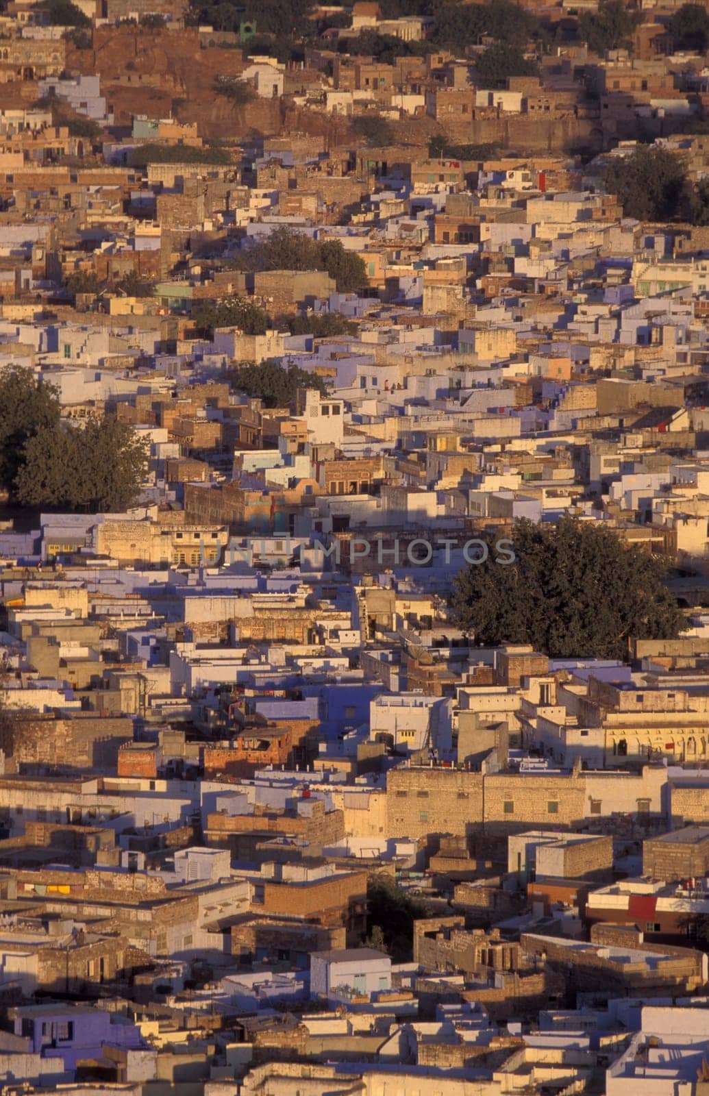 a view with living Houses in the Blue City and Town of Jodhpur in the Province of Rajasthan in India.  India, Jodhpur, January, 1998