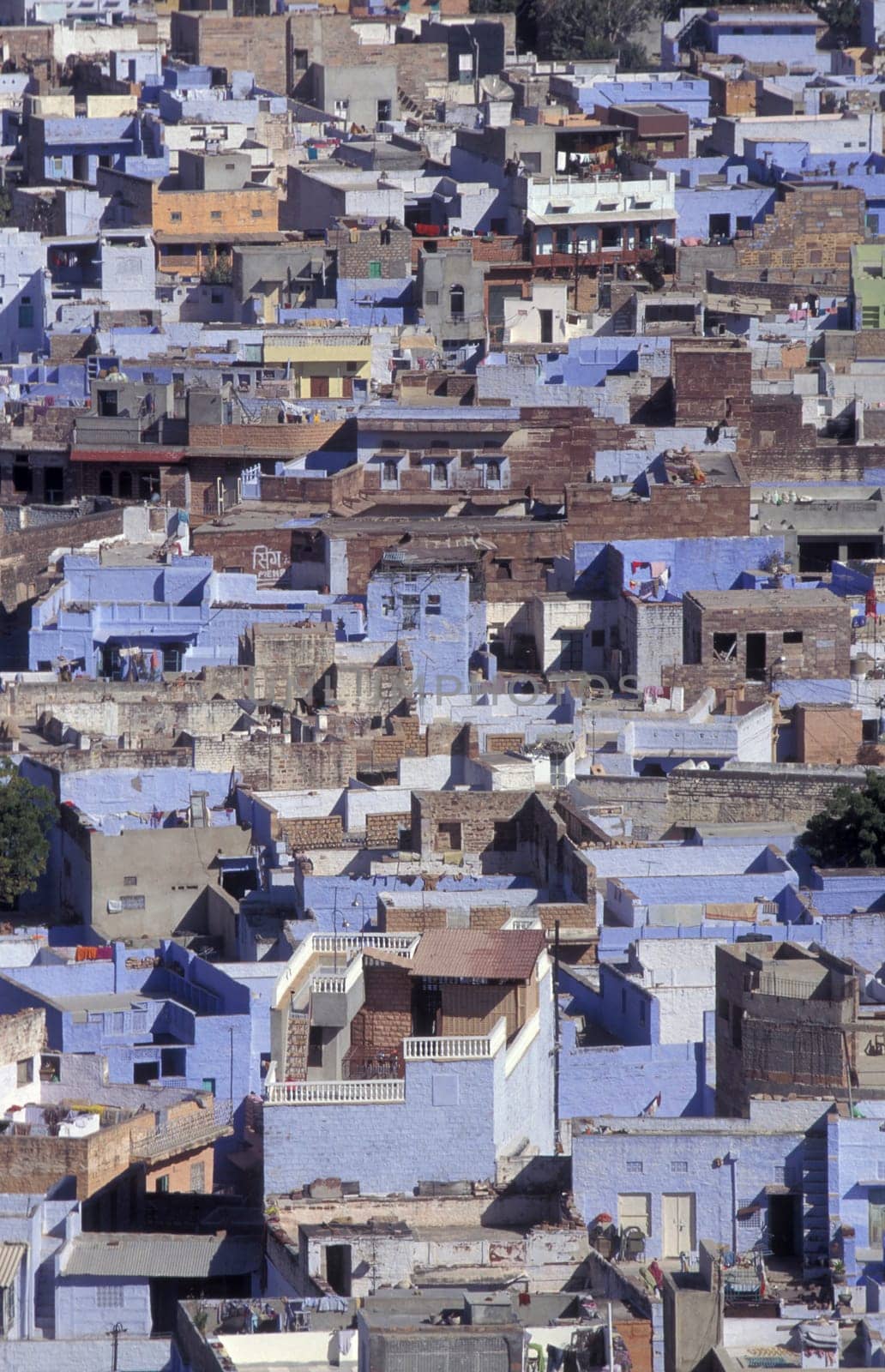 a view with living Houses in the Blue City and Town of Jodhpur in the Province of Rajasthan in India.  India, Jodhpur, January, 1998