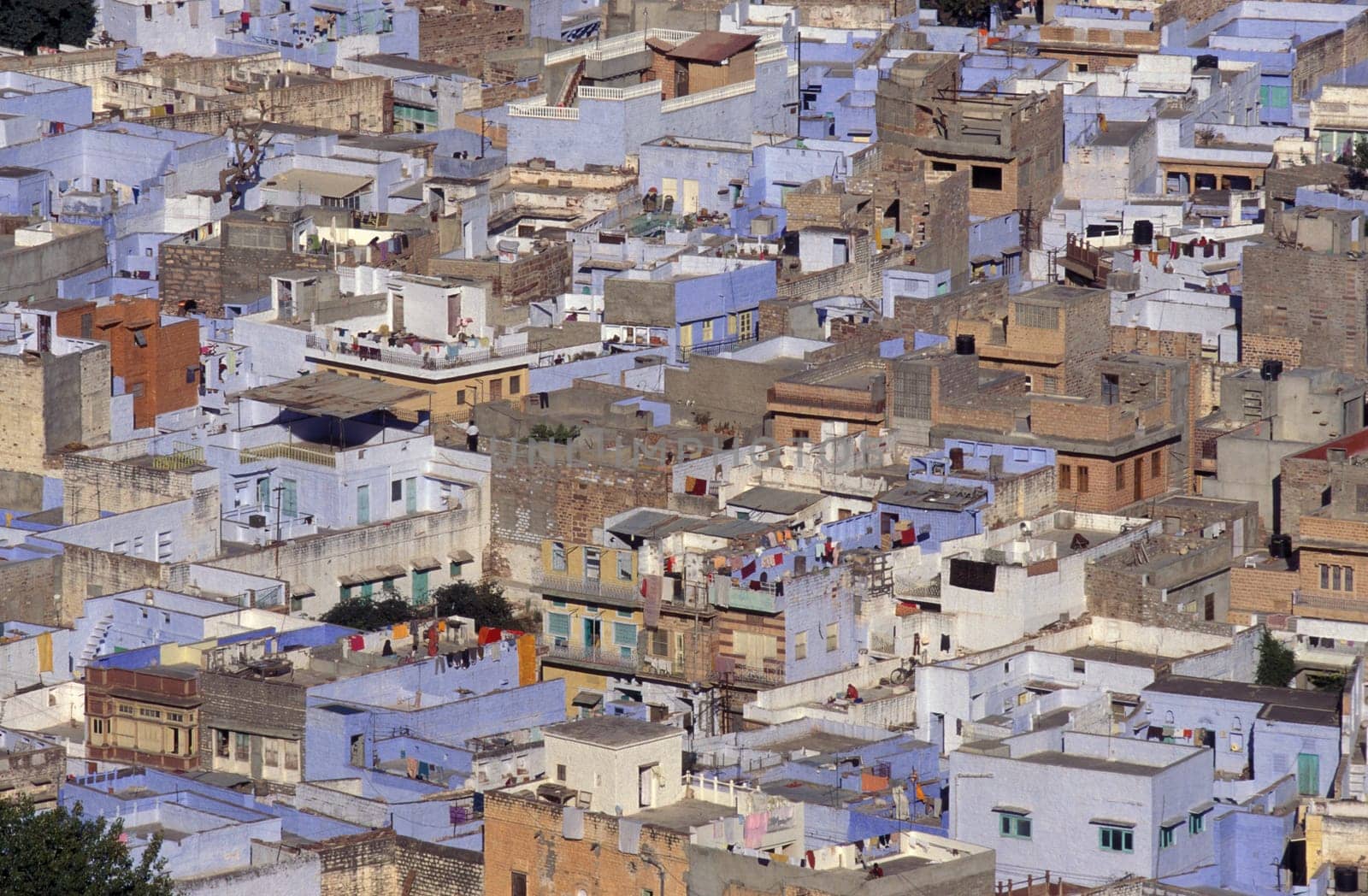 a view with living Houses in the Blue City and Town of Jodhpur in the Province of Rajasthan in India.  India, Jodhpur, January, 1998