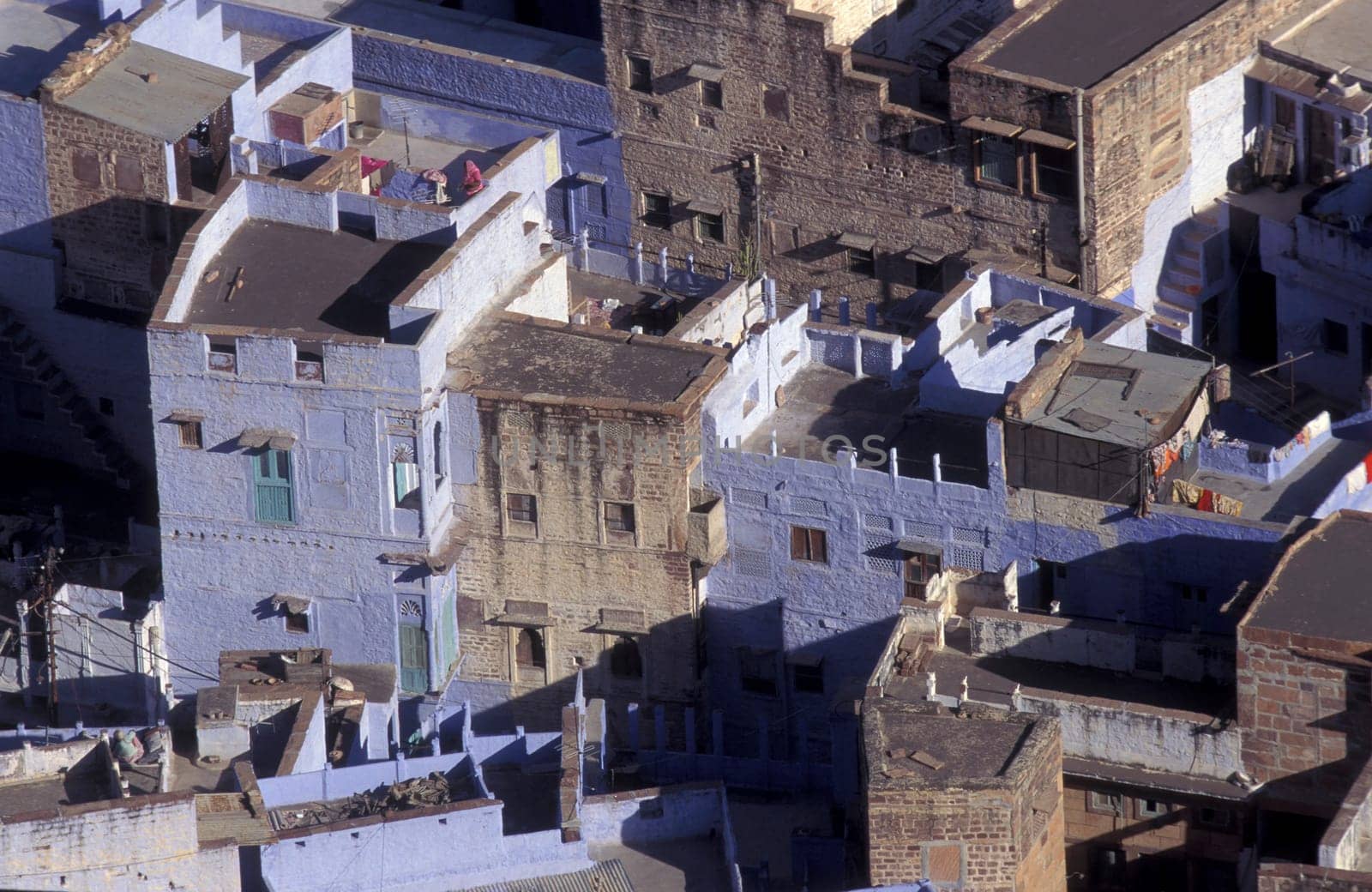 a view with living Houses in the Blue City and Town of Jodhpur in the Province of Rajasthan in India.  India, Jodhpur, January, 1998