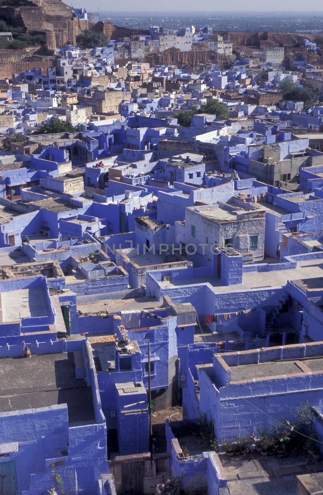 a view with living Houses in the Blue City and Town of Jodhpur in the Province of Rajasthan in India.  India, Jodhpur, January, 1998