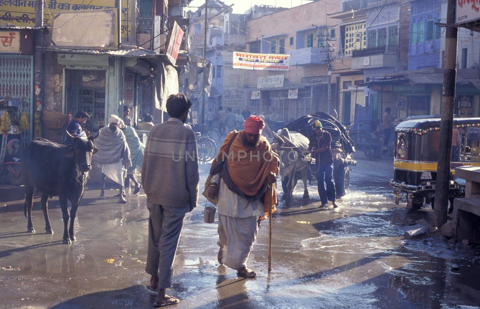 the Traffic with Ox cart in the Blue City and Town of Jodhpur in the Province of Rajasthan in India.  India, Jodhpur, January, 1998