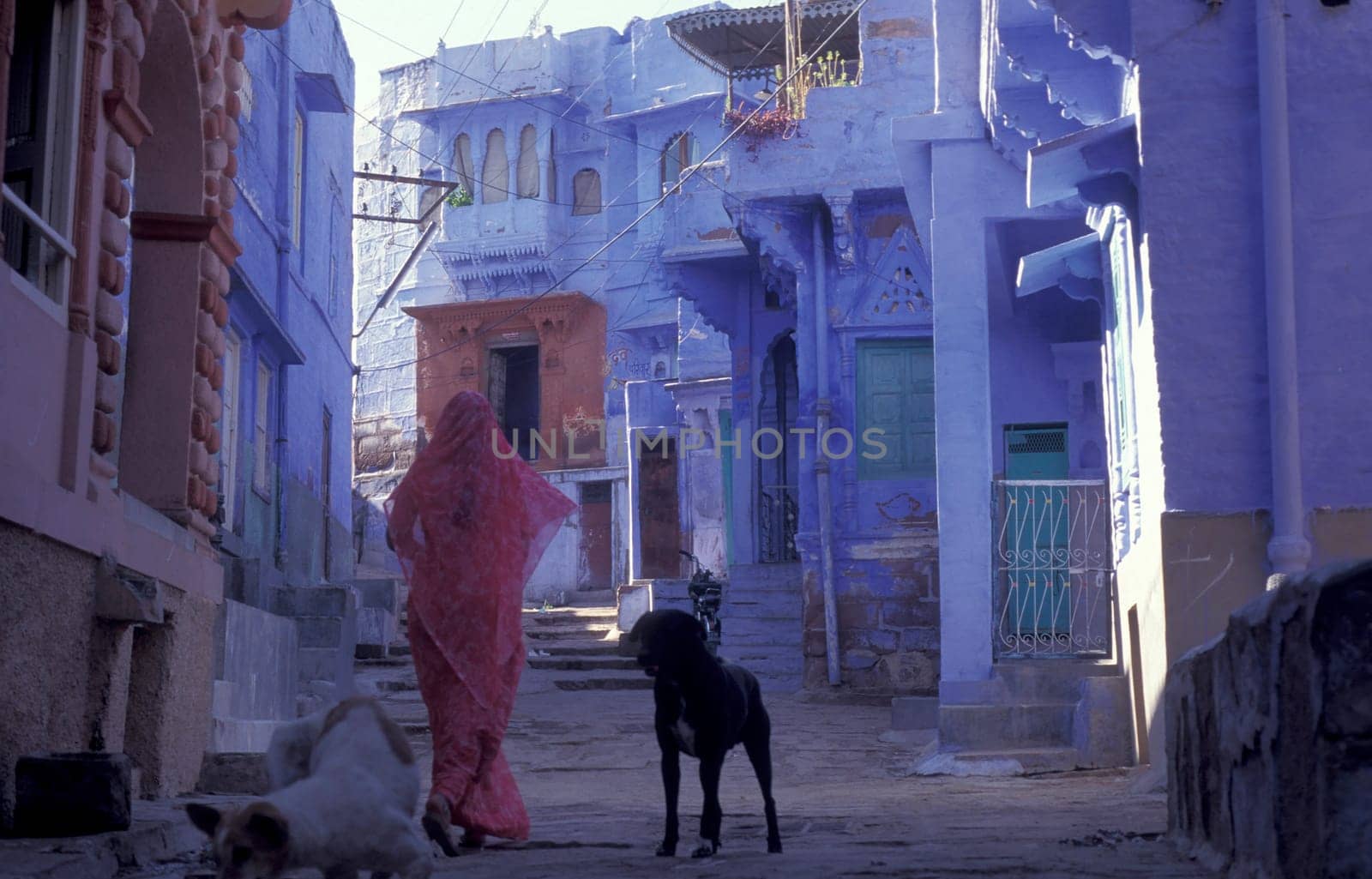 a blue painted living House in the Blue City and Town of Jodhpur in the Province of Rajasthan in India.  India, Jodhpur, January, 1998