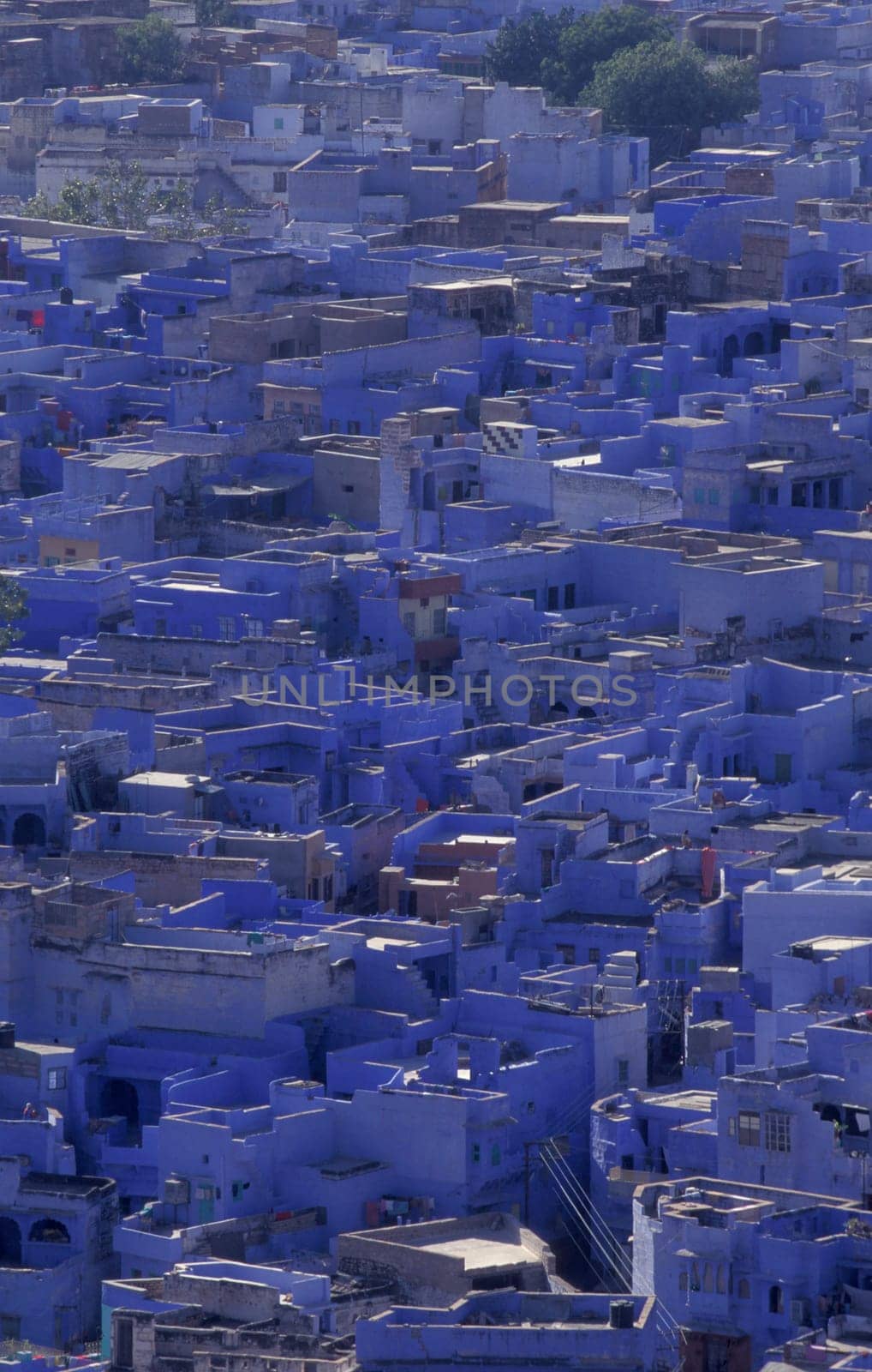 a view with living Houses in the Blue City and Town of Jodhpur in the Province of Rajasthan in India.  India, Jodhpur, January, 1998