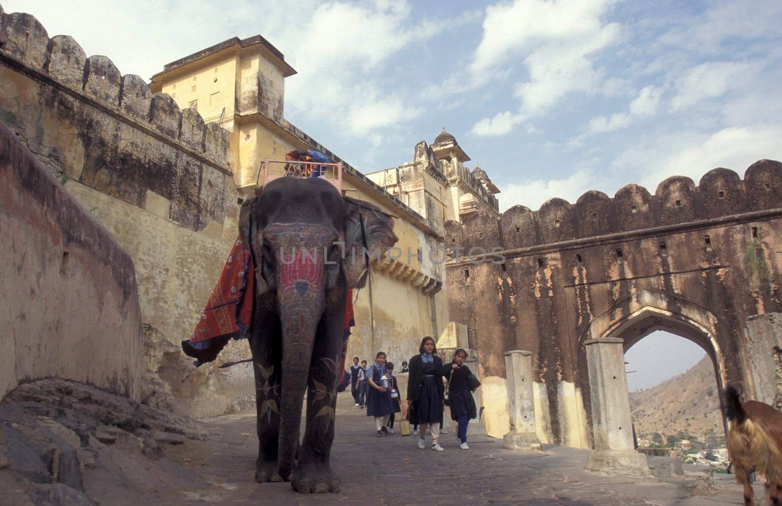 a Elephant at the entrance of the Meherangarh in the Town of Jodhpur in the Province of Rajasthan in India.  India, Jodhpur, January, 1998