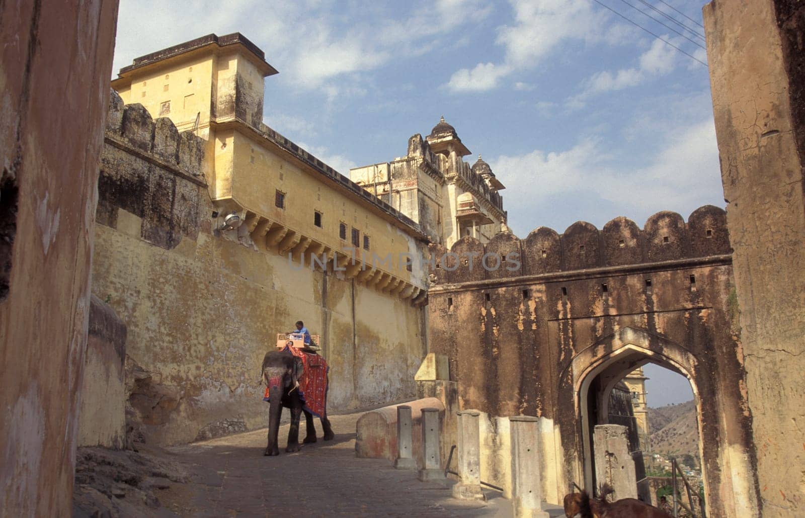 a Elephant at the entrance of the Meherangarh in the Town of Jodhpur in the Province of Rajasthan in India.  India, Jodhpur, January, 1998