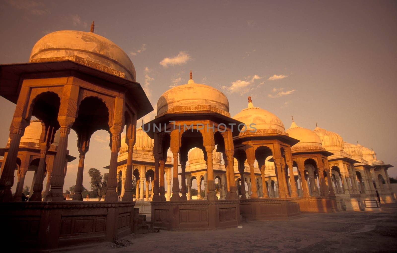 the ruins of Royal Crematorium Devi Kund Sagar near Bikaner in the Tar Desert in the Province of Rajasthan in India.  India, Jaisalmer, January, 1998