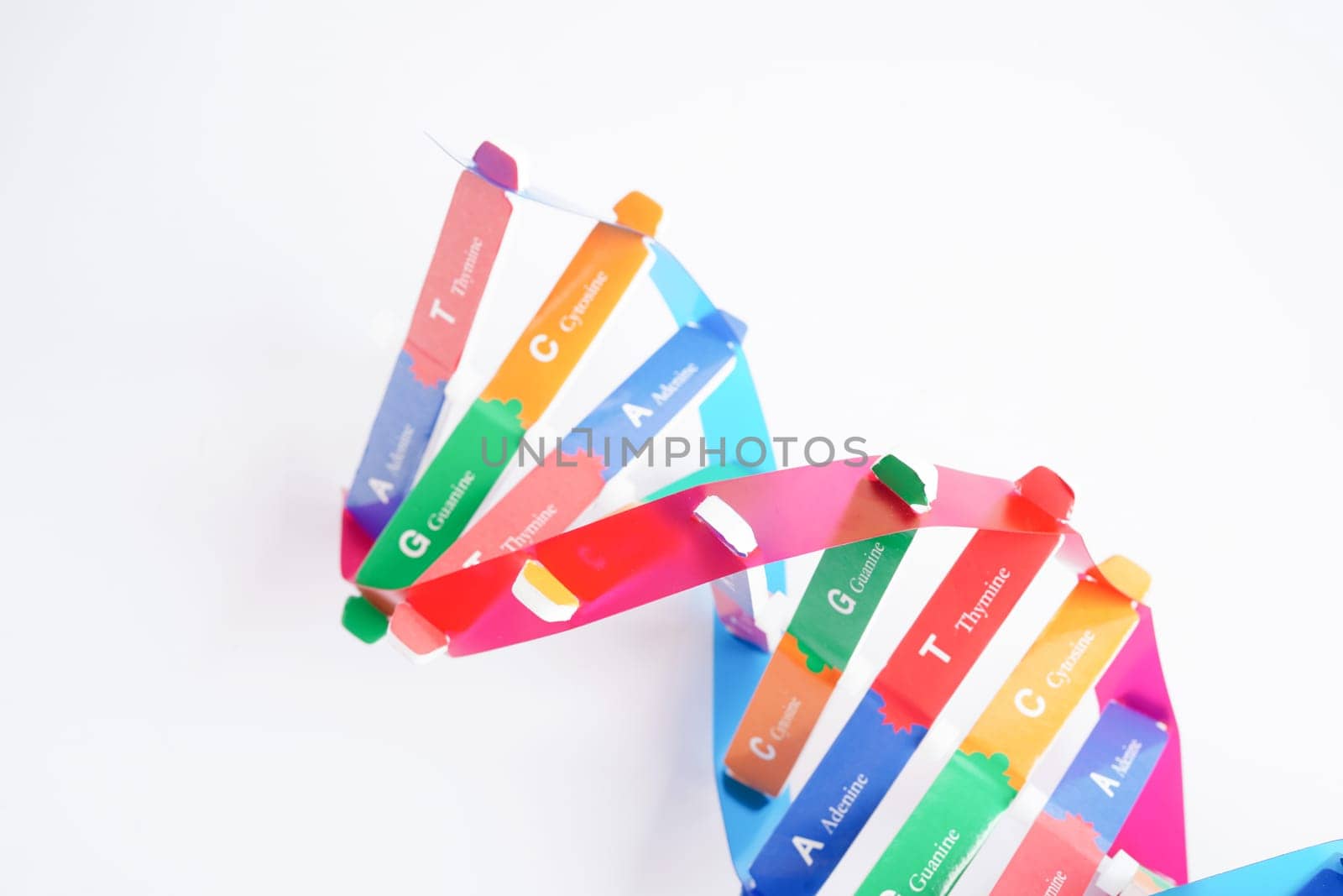 DNA molecule spiral structure model isolated on white background, chromosome and gene chemical science biology.