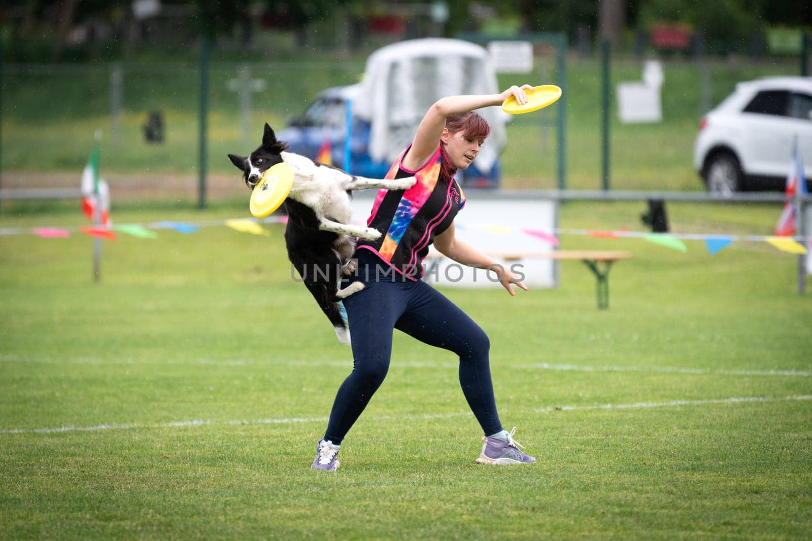 June 22, 2024, Saint Didier de Formans, France: a woman is practicing Disc Dog, a sport widely practiced in the United States.