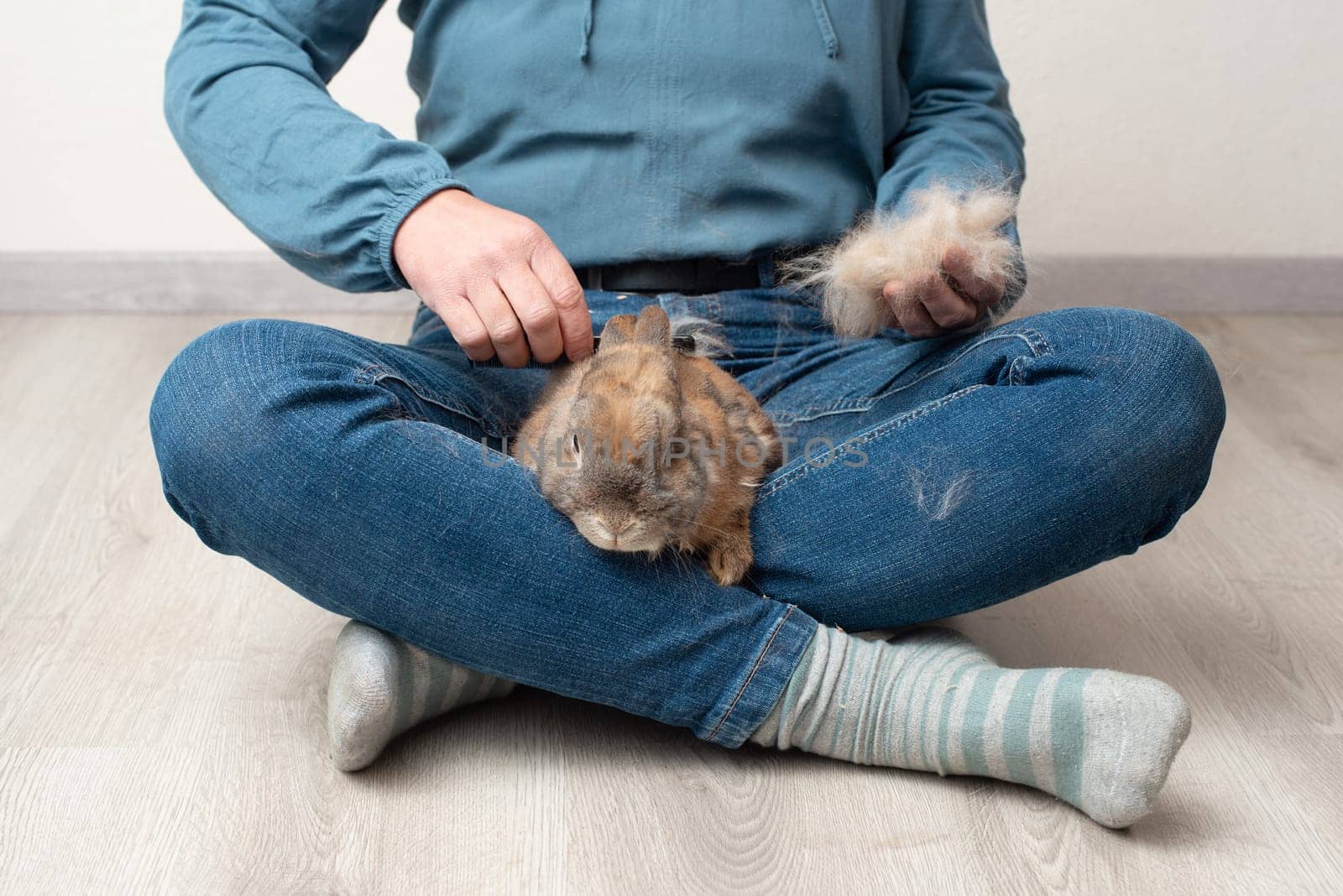 Domestic rabbit pathological hair loss, comb fur of pet animal, coat change, parasites, worms, infections with bacteria, viruses or fungi, allergies, hormonal imbalance, loneliness or stress