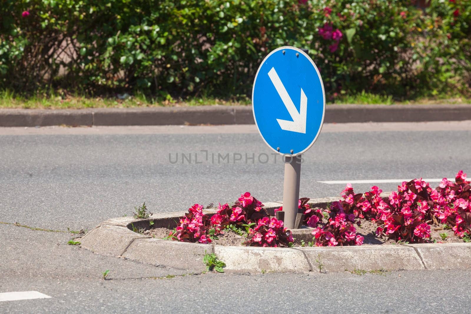 Traffic island on road with arrow signpost and flower bed, Germany