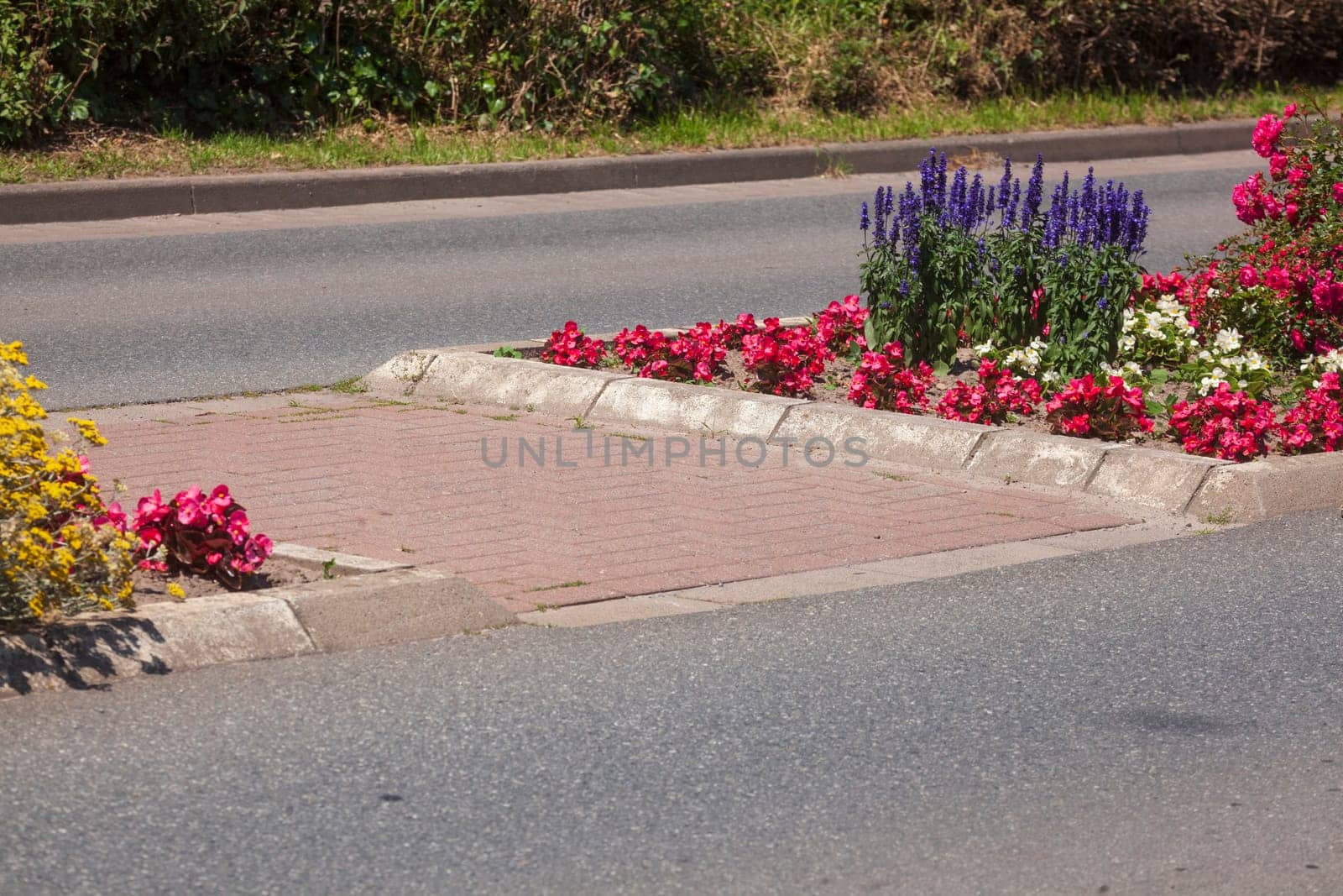 Traffic island on road with crosswalk and flower bed, Germany