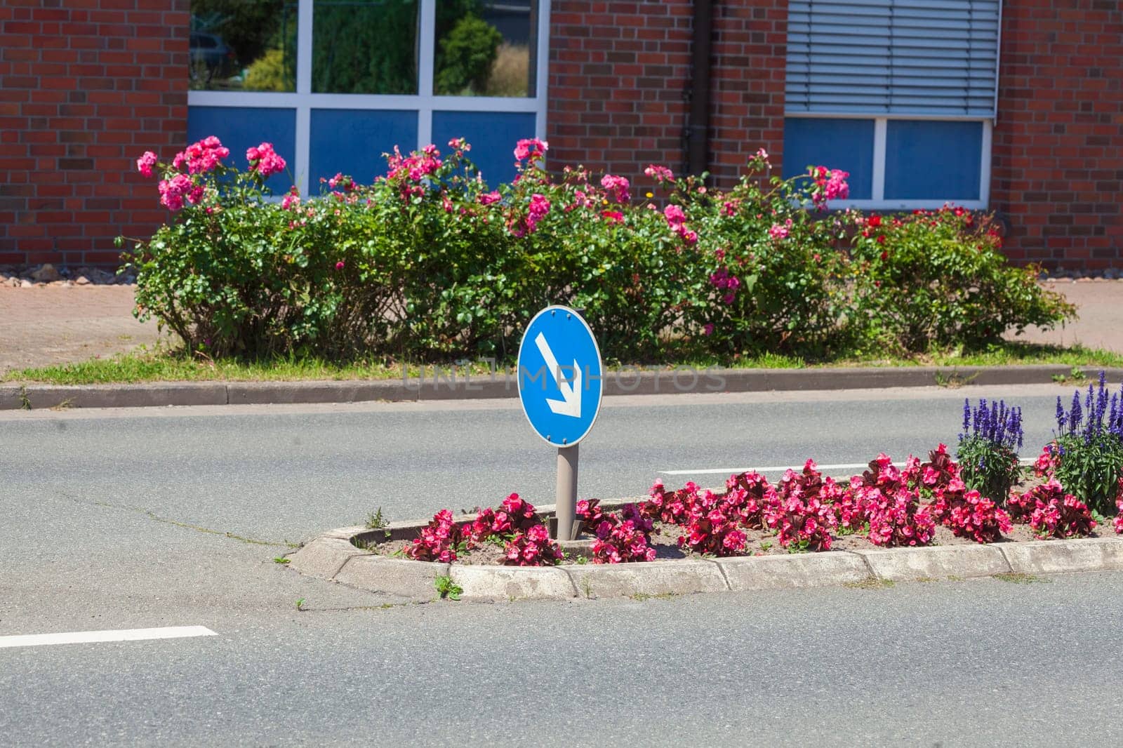 Traffic island on road with arrow signpost and flower bed, Germany