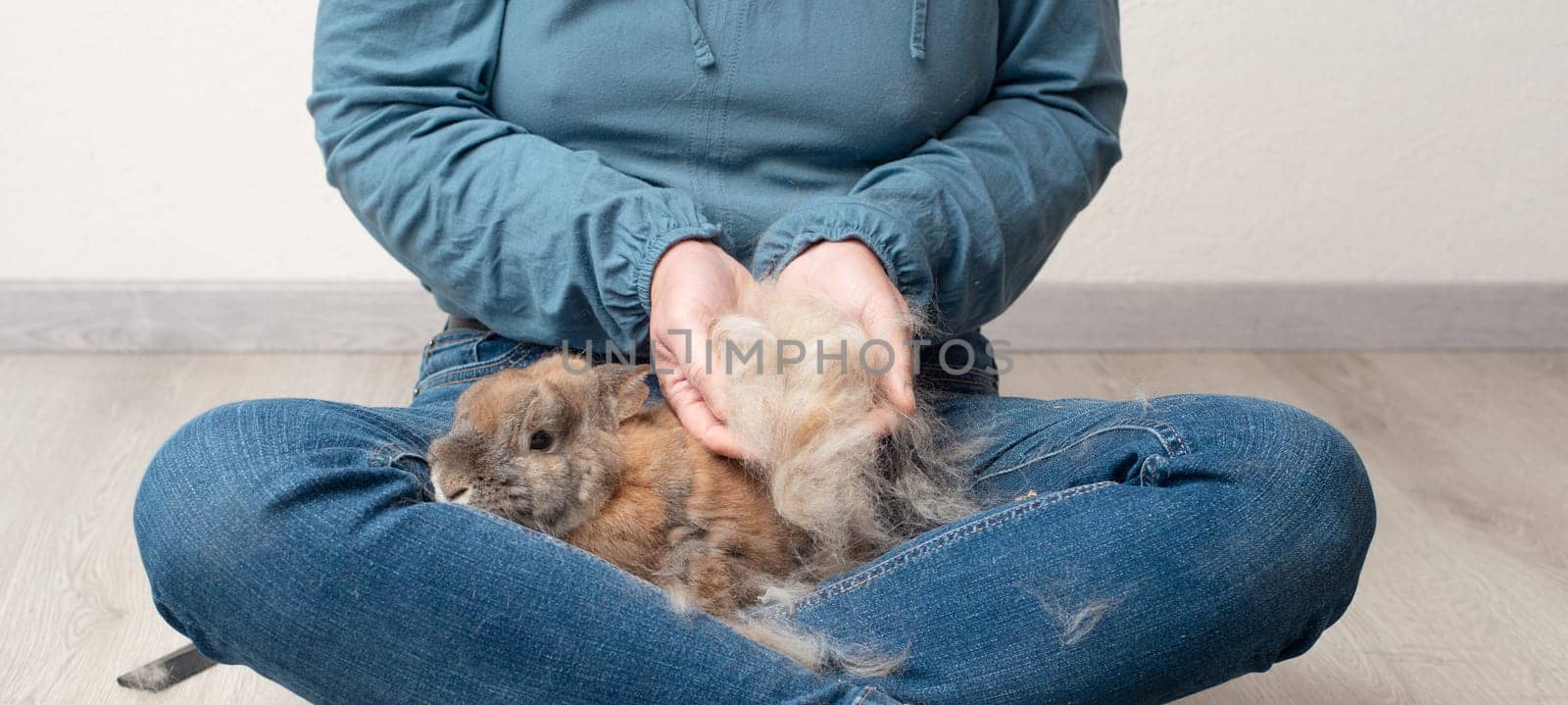 Domestic rabbit pathological hair loss, comb fur of pet animal, coat change, parasites, worms, infections with bacteria, viruses or fungi, allergies, hormonal imbalance, loneliness or stress