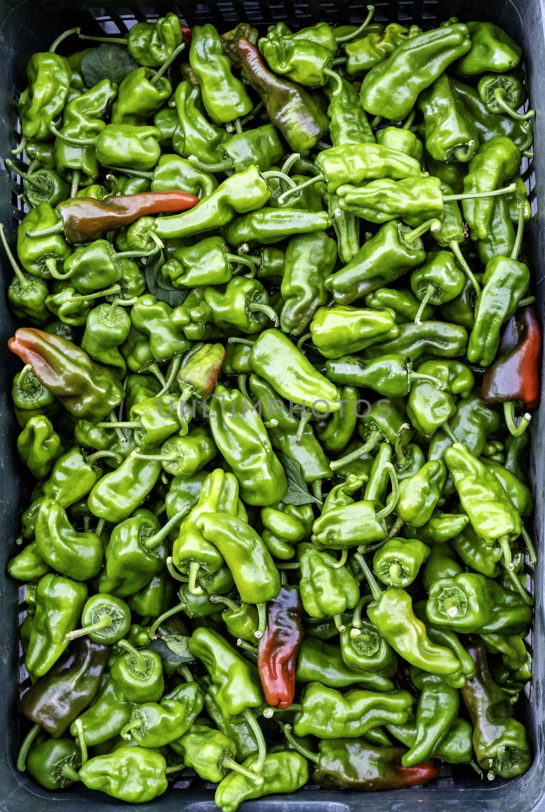 Detail of fresh vegetables in a traditional, vegan market