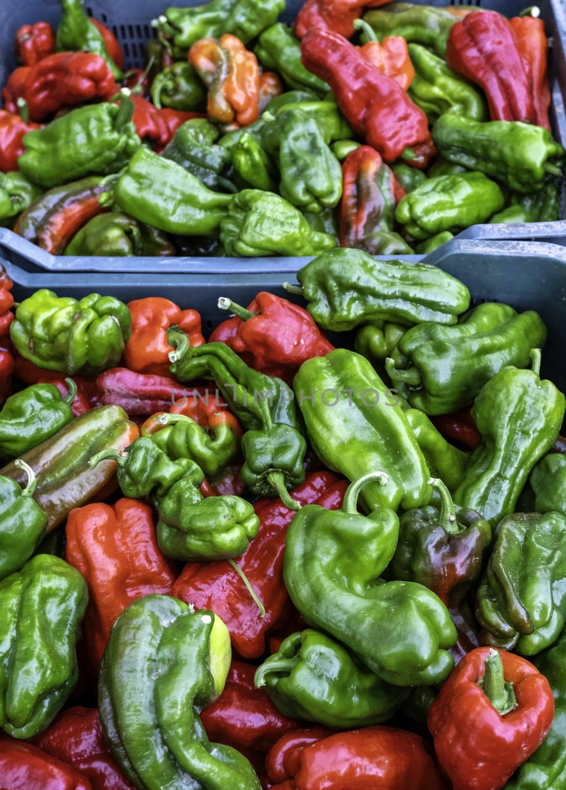 Detail of fresh vegetables in a traditional, vegan market