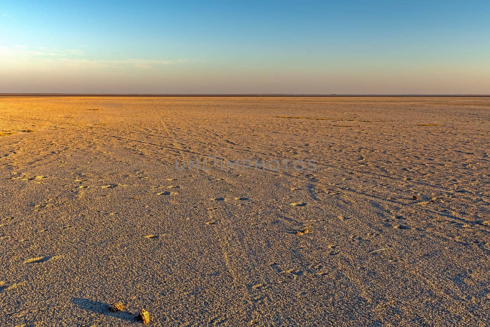 Expansive View of Salt Pans in the Evening at the Makgadikgadi Salt Pans in Botswana