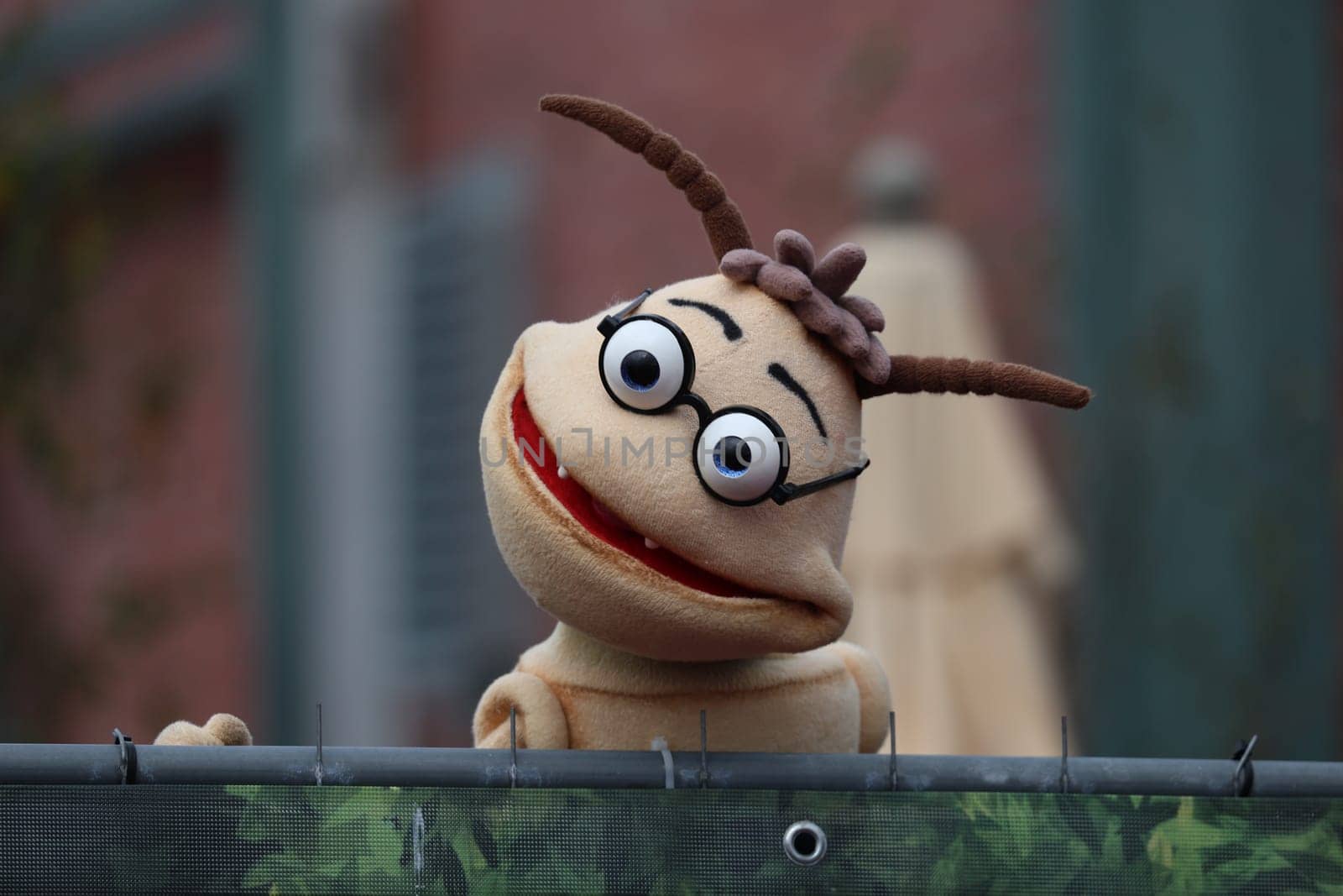Woodworm Willi after the ARD TV show "Immer wieder sonntags""."
