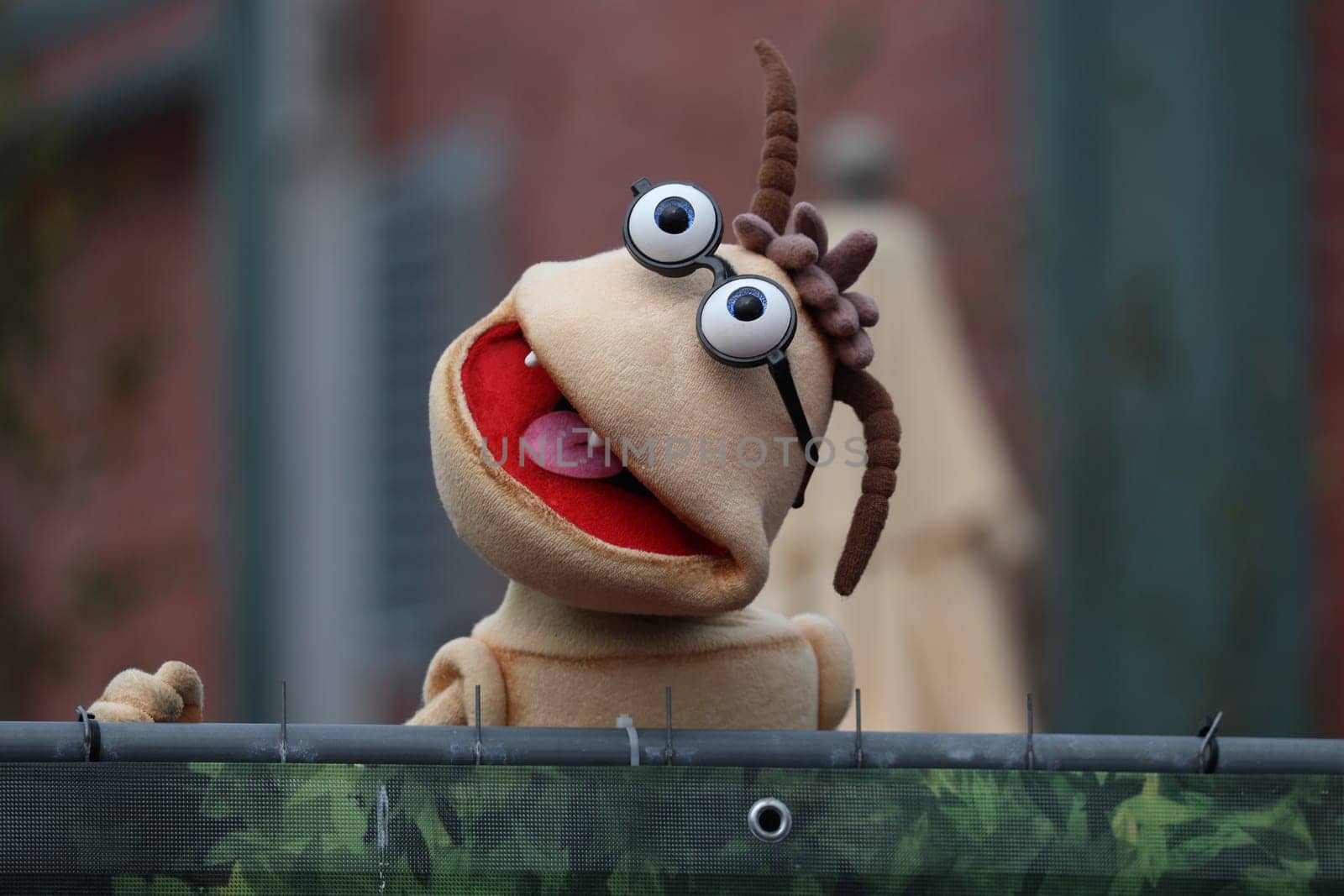 Woodworm Willi after the ARD TV show "Immer wieder sonntags""."