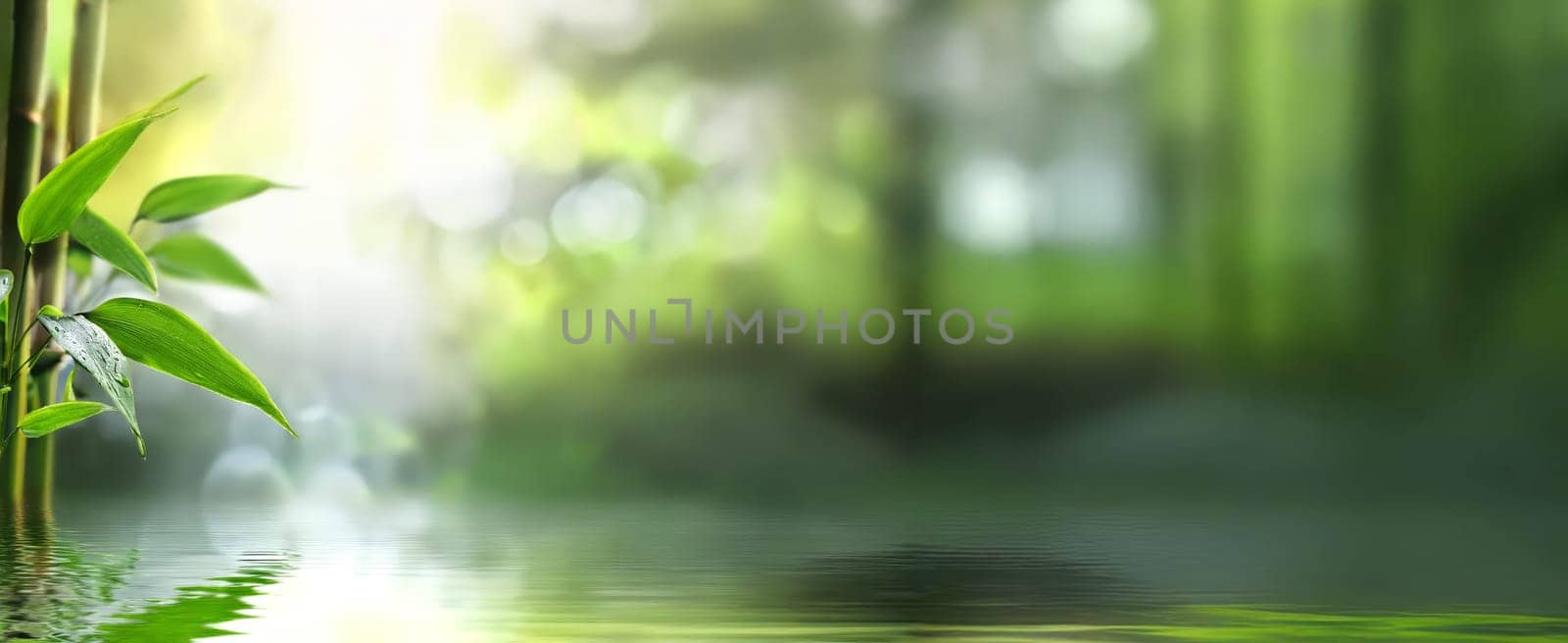 Tranquil scene by the water for wellness and relaxation with copy space.