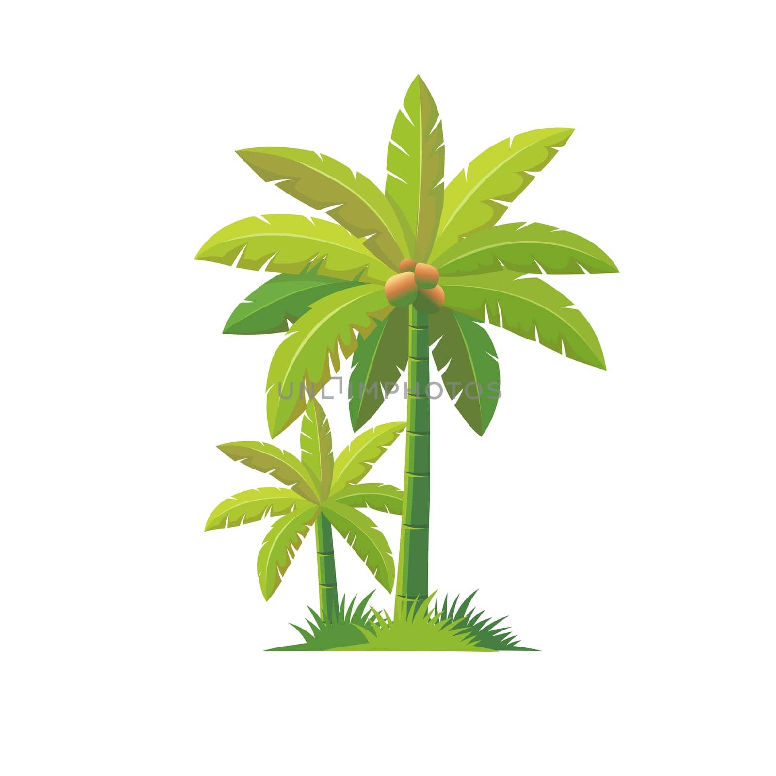 Coconut trees cartoon style, vector art and illustration. palm tree illustration vector design