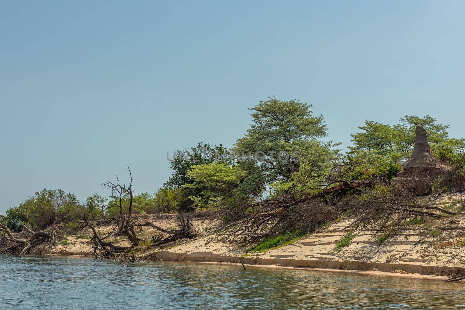 Sand dune landscape on the banks of the Zambezi River, Botswana