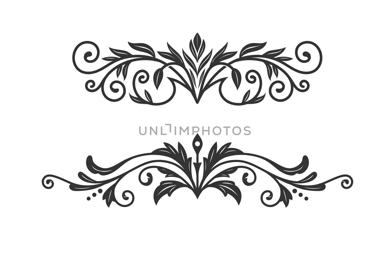 hand drawn decorative floral borders and ornaments vector