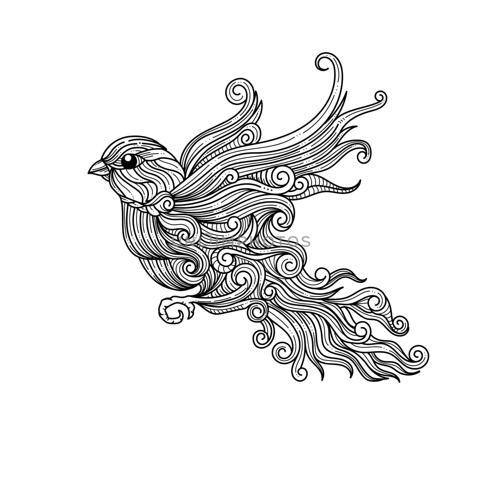 hand drawn ornate sparrow birds with Black and white vector illustration.