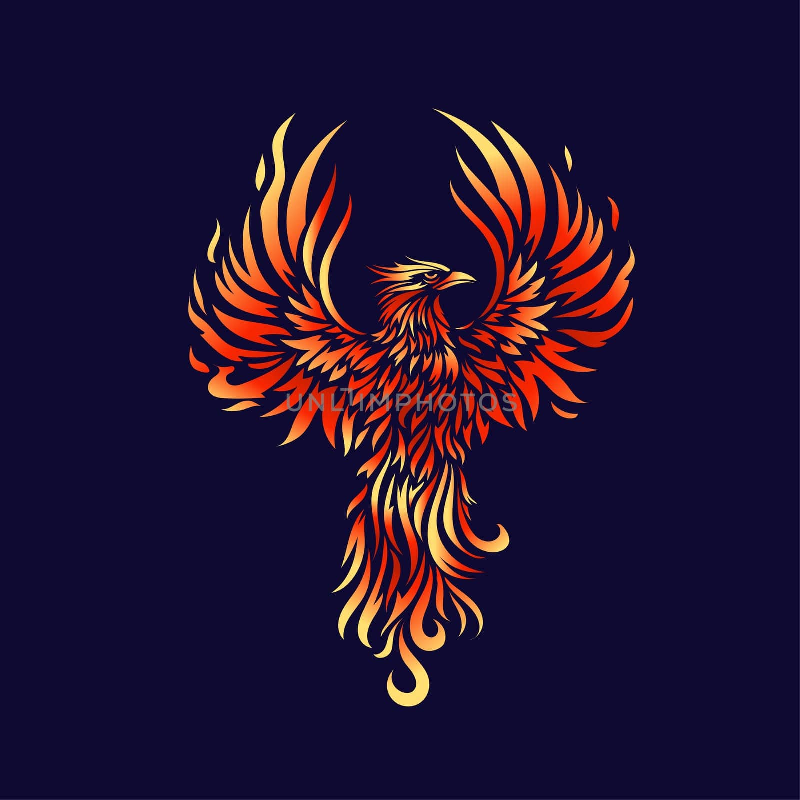 Phoenix Fire bird illustration and character design. hand drawn Legend of the Fire bird