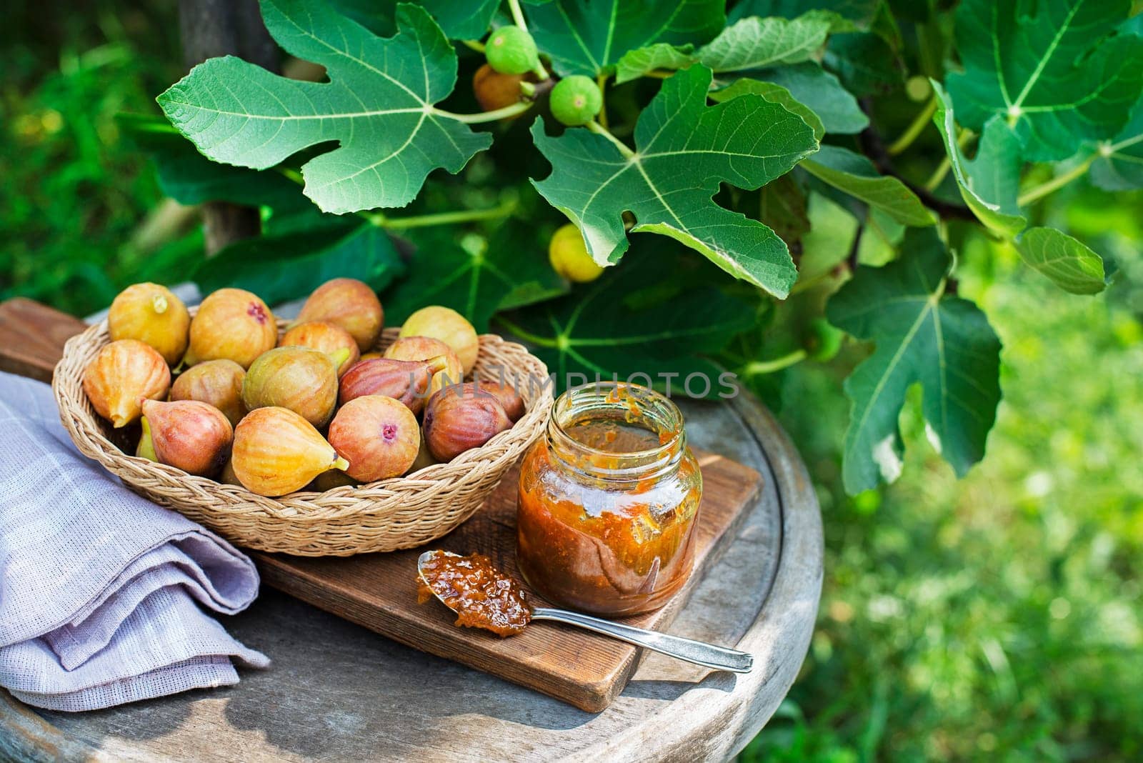 Glass jar with tasty sweet jam with fresh figs growing on the branch fig tree in organic home orchard.