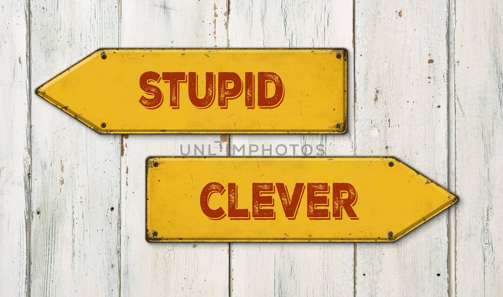 Direction signs on a wooden wall - Stupid or clever
