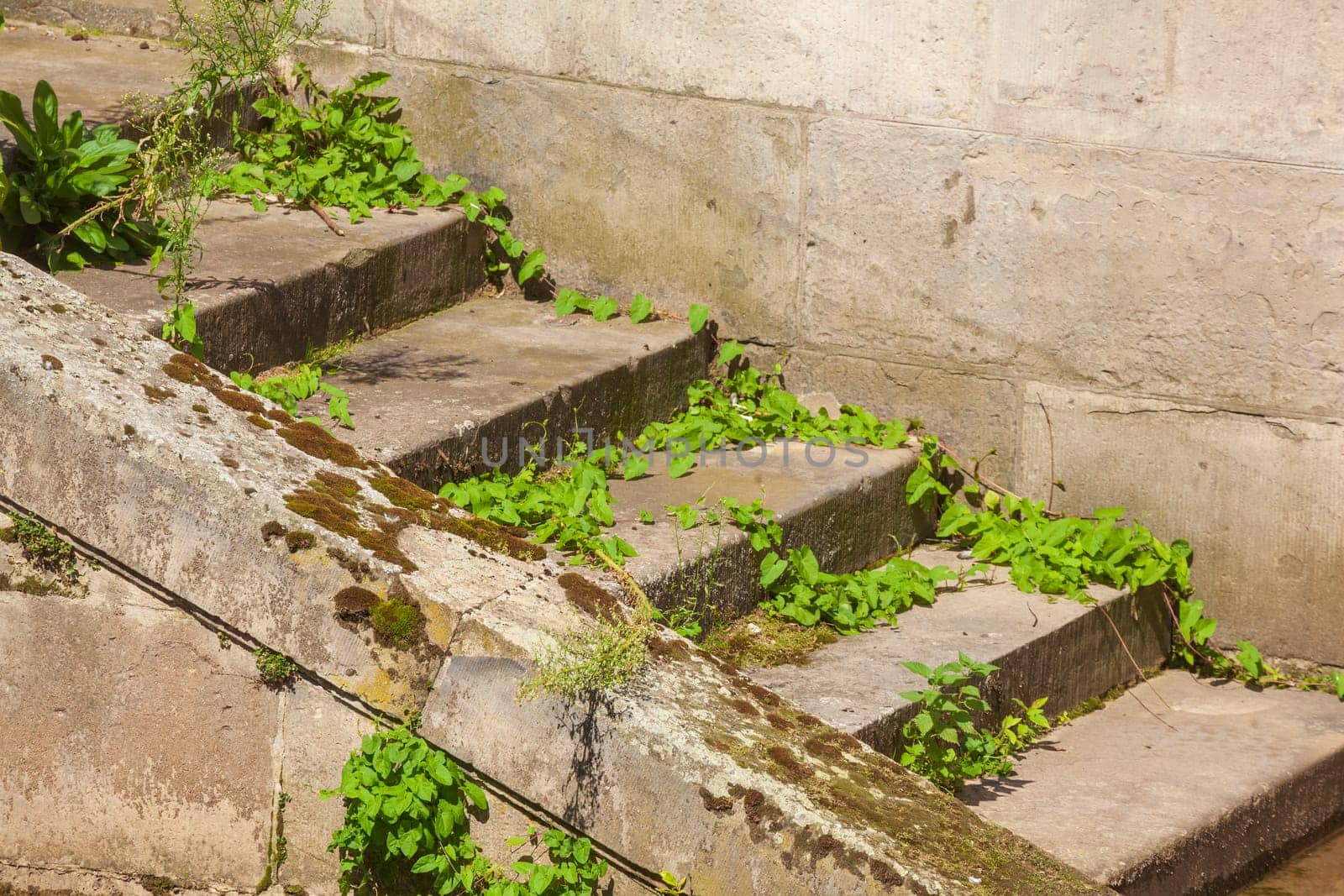 Old brown steps, Germany