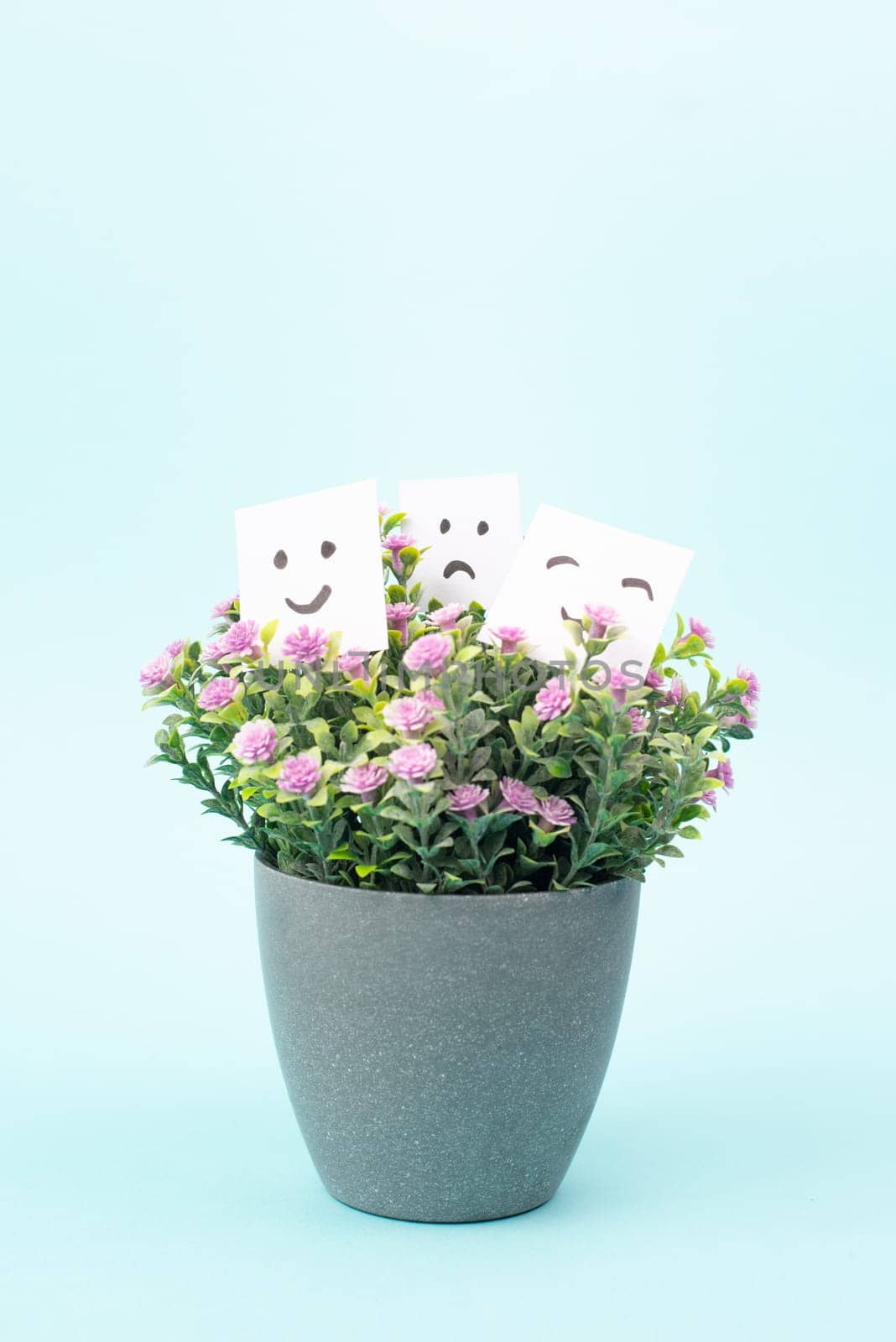 Happy smiling face, sad faces, growing from flower pot, mental health, positive and negative mind, influence emotion, support and depression