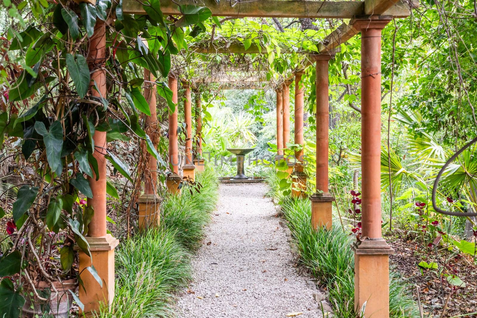 Romantic garden walkway forming a green tunnel, springtime