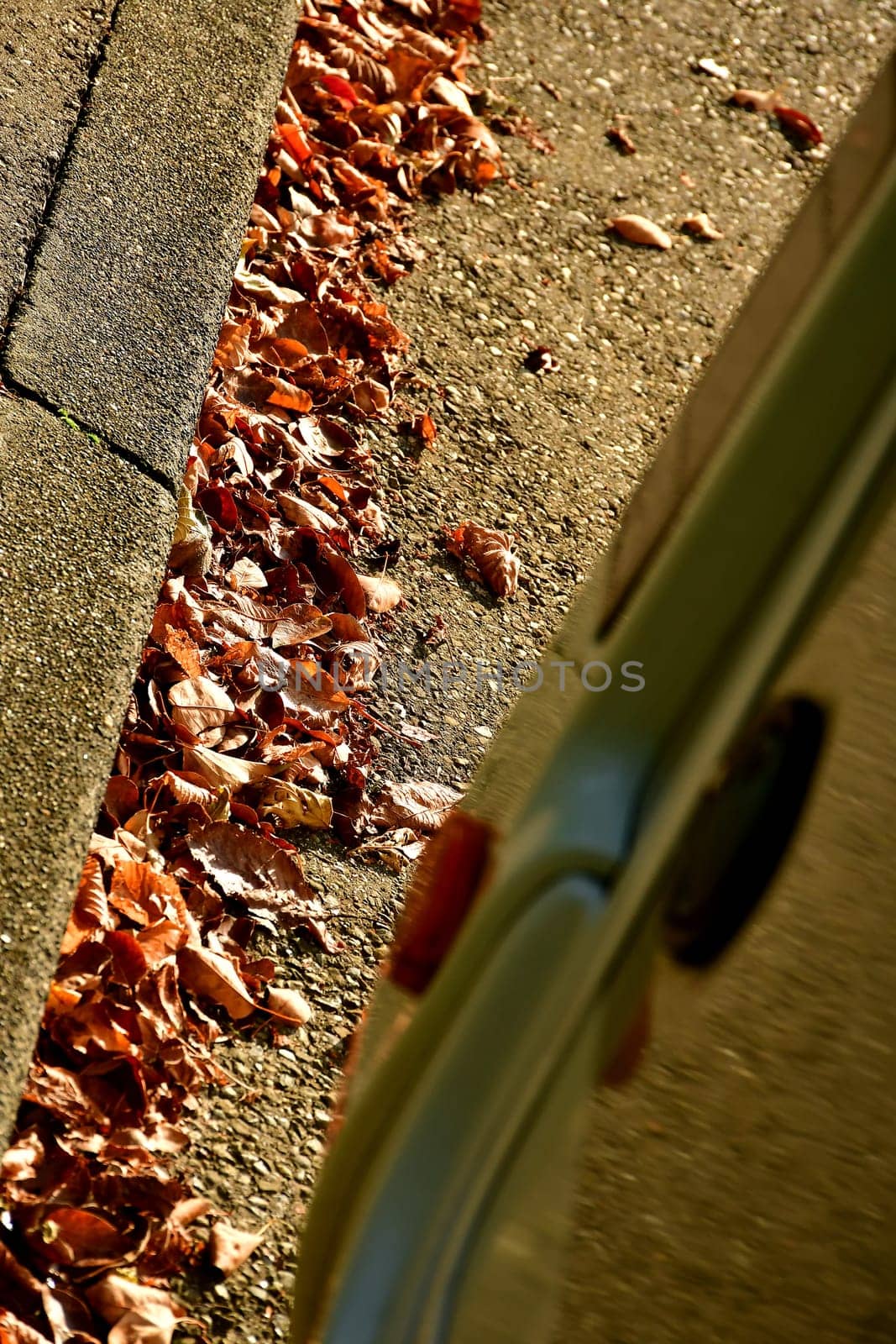 autumnal colored leaves on a street with the edge of a motor home
