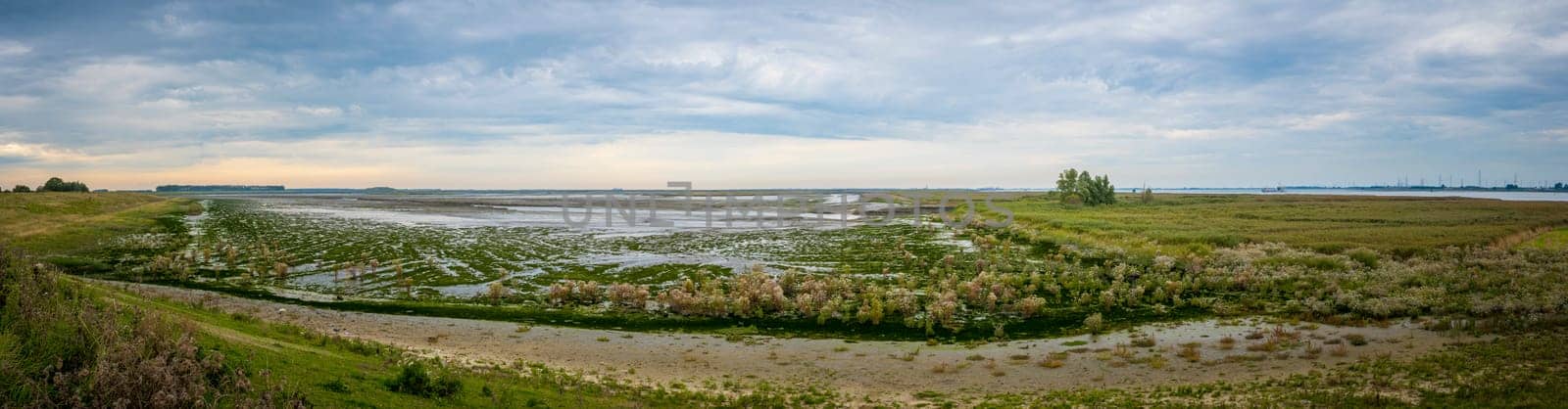 View into Drowned Land of Saeftinghe from Oude Doel, on the border between Belgium and the Netherlands