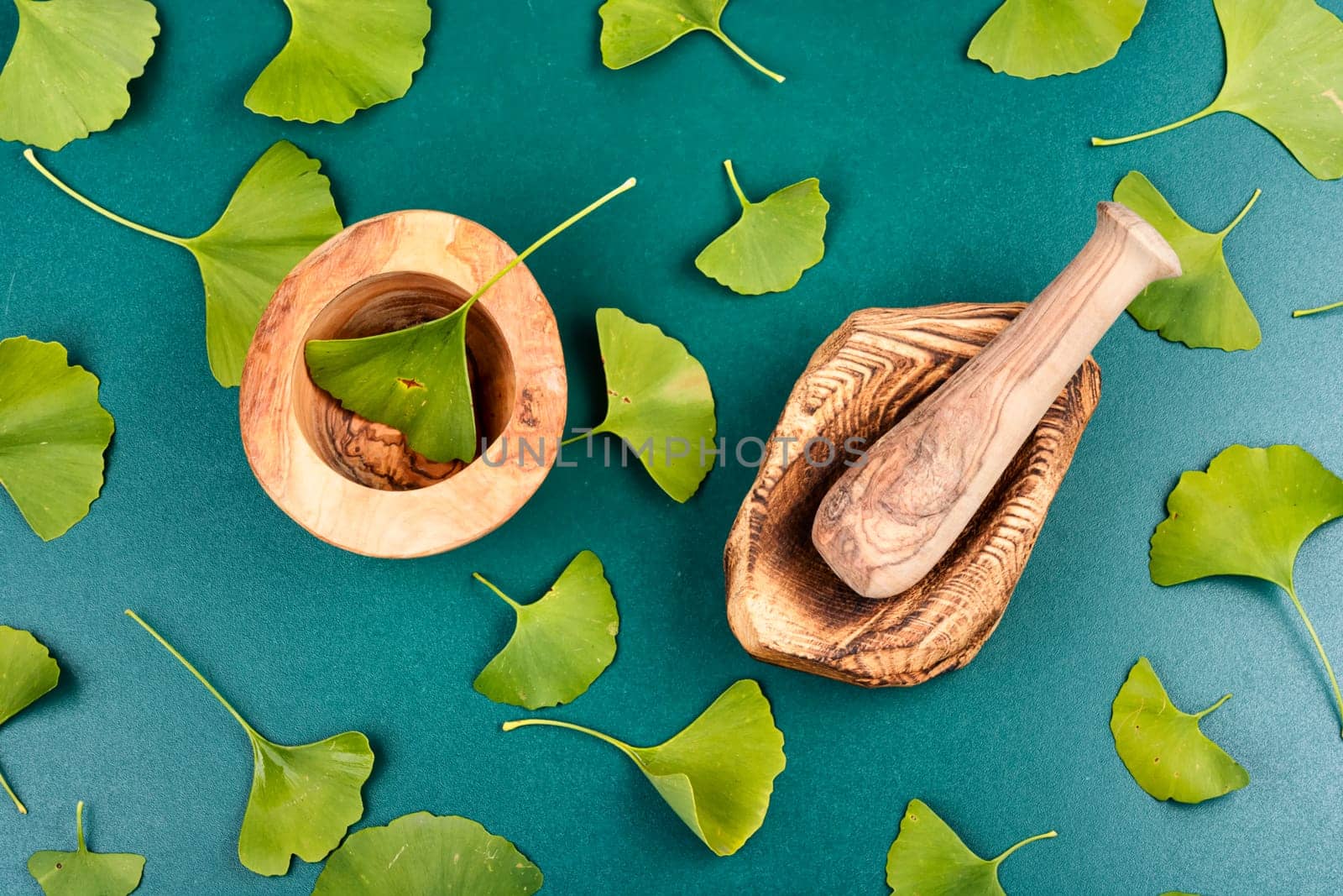 A cup of herbal tea, green Ginkgo biloba leaves. Herbal tea in a cup on a wooden table