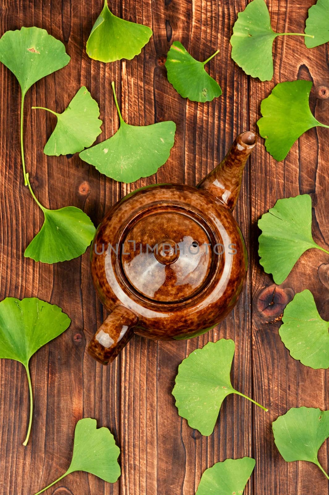 A cup of herbal tea, green Ginkgo biloba leaves. Herbal tea in a cup on a wooden table