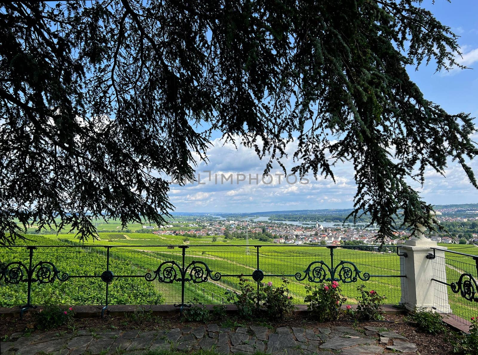 From Johannisberg Castle you have a beautiful view of the Rheingau all the way to Rhineland-Palatinate. From Johannisberg Castle you have a wonderful view of the Rheingau all the way to the Rhineland-Palatinate.