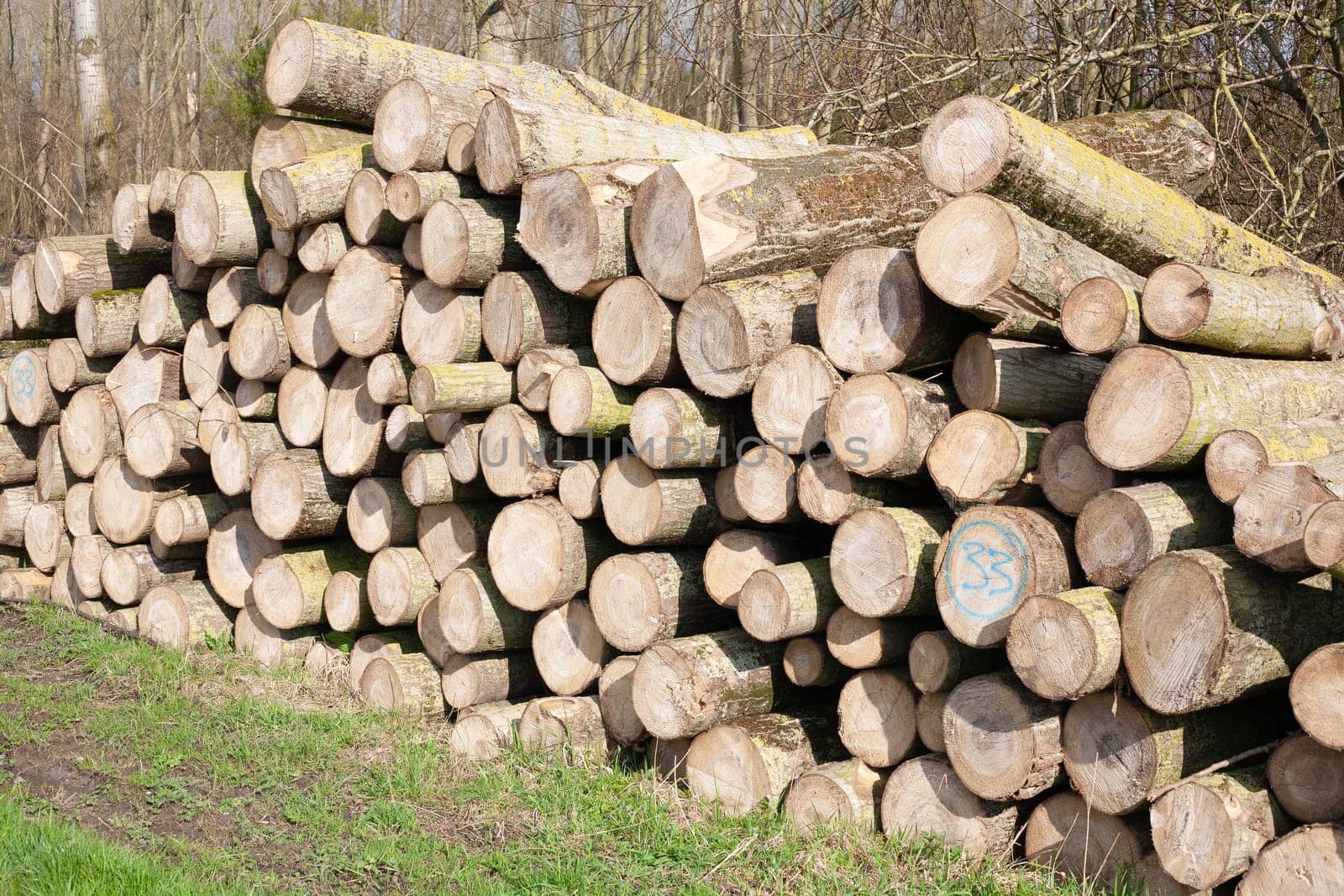 Pile of wood logs. Natural wooden background with closeup of clean cut of chopped firewood logs.
