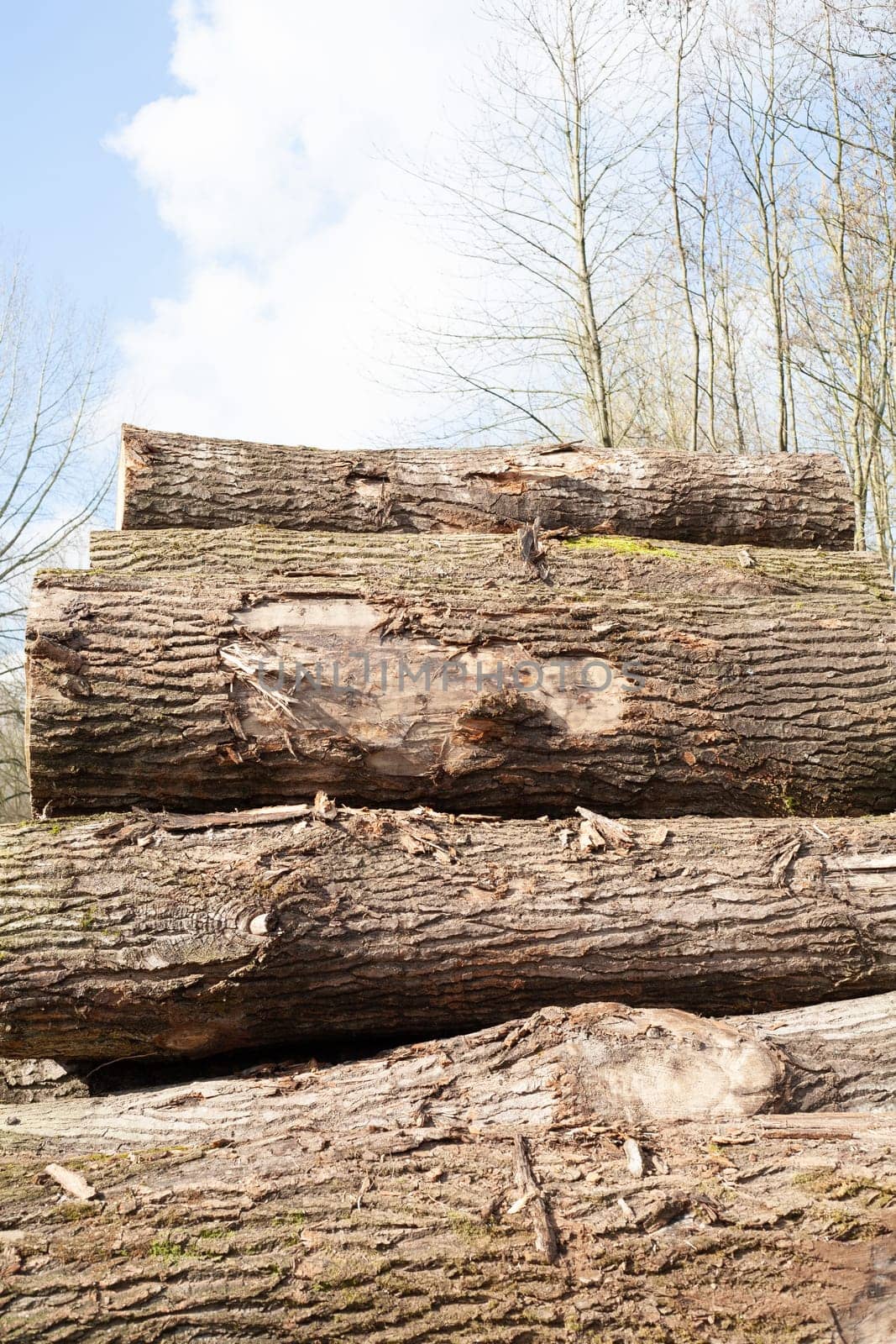 Pile of wood logs. Natural wooden background with closeup of clean cut of chopped firewood logs.