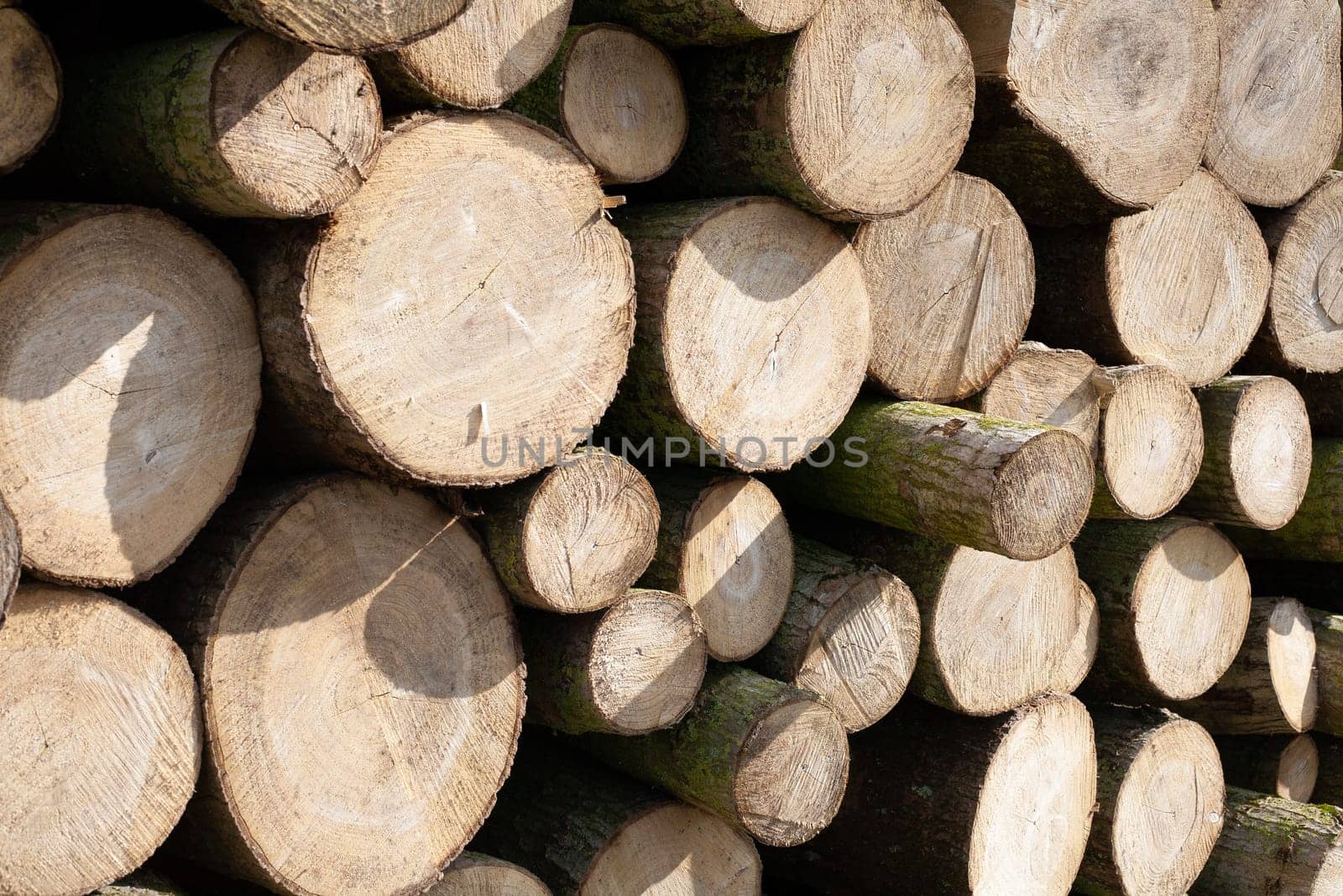 Pile of wood logs. Natural wooden background with closeup of clean cut of chopped firewood logs.