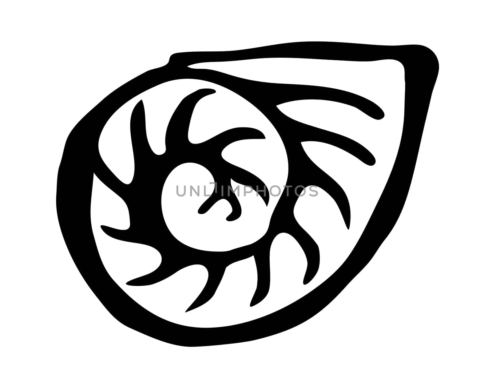 Sea shell hand painted with brush stroke. Vector illustration isolated on white background