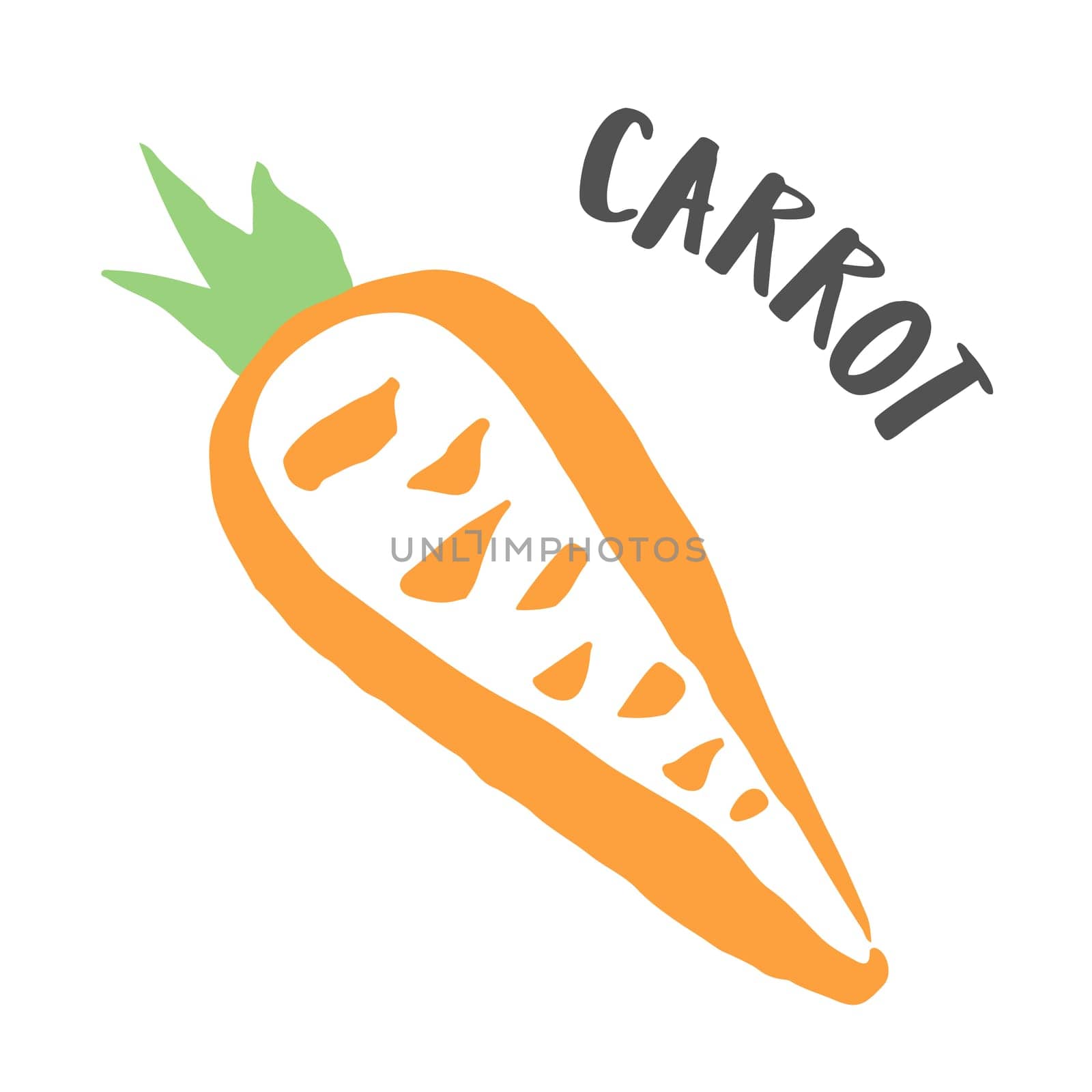 Carrot drawing hand painted with ink brush isolated on white background. Vector illustration