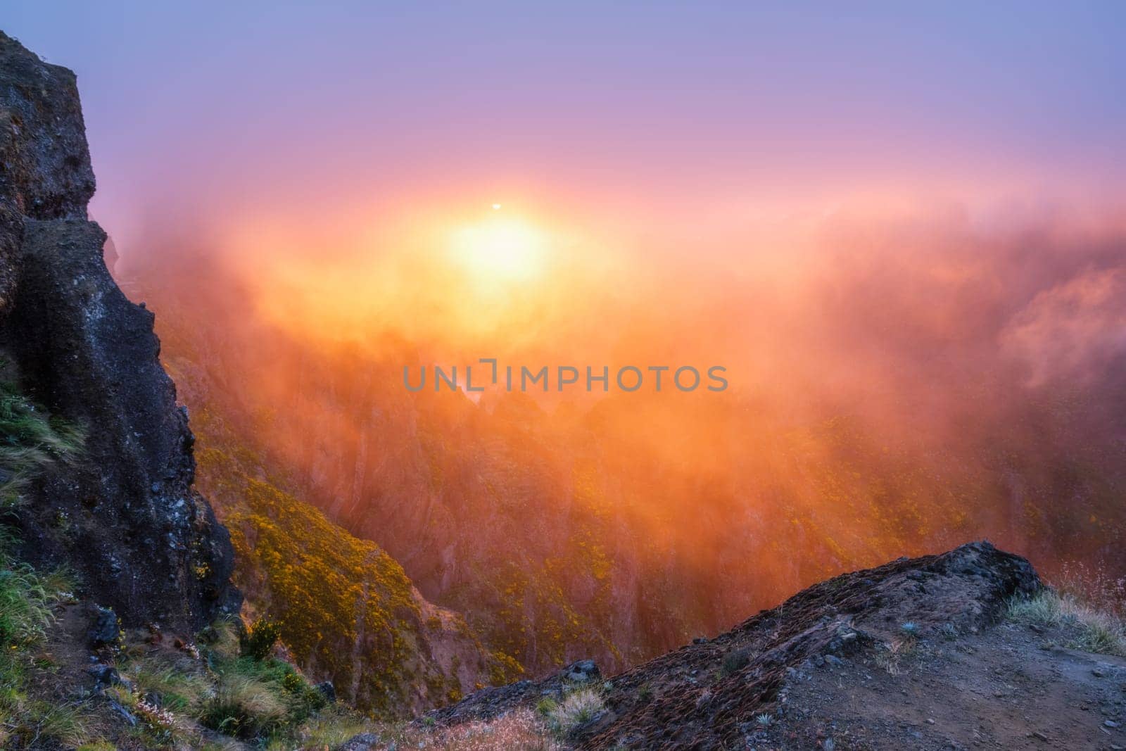 Mountains on sunset covered in fog and clouds with blooming Cytisus shrubs. Near Pico de Arieiro , Madeira island, Portugal
