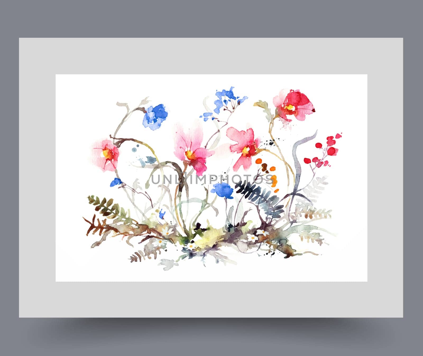 Cute flowers growing in clearing with thin crooked stems, on watercolor poster in abstract style. Spring flowers cornflowers and poppies for design of botanical book and literature about floriculture