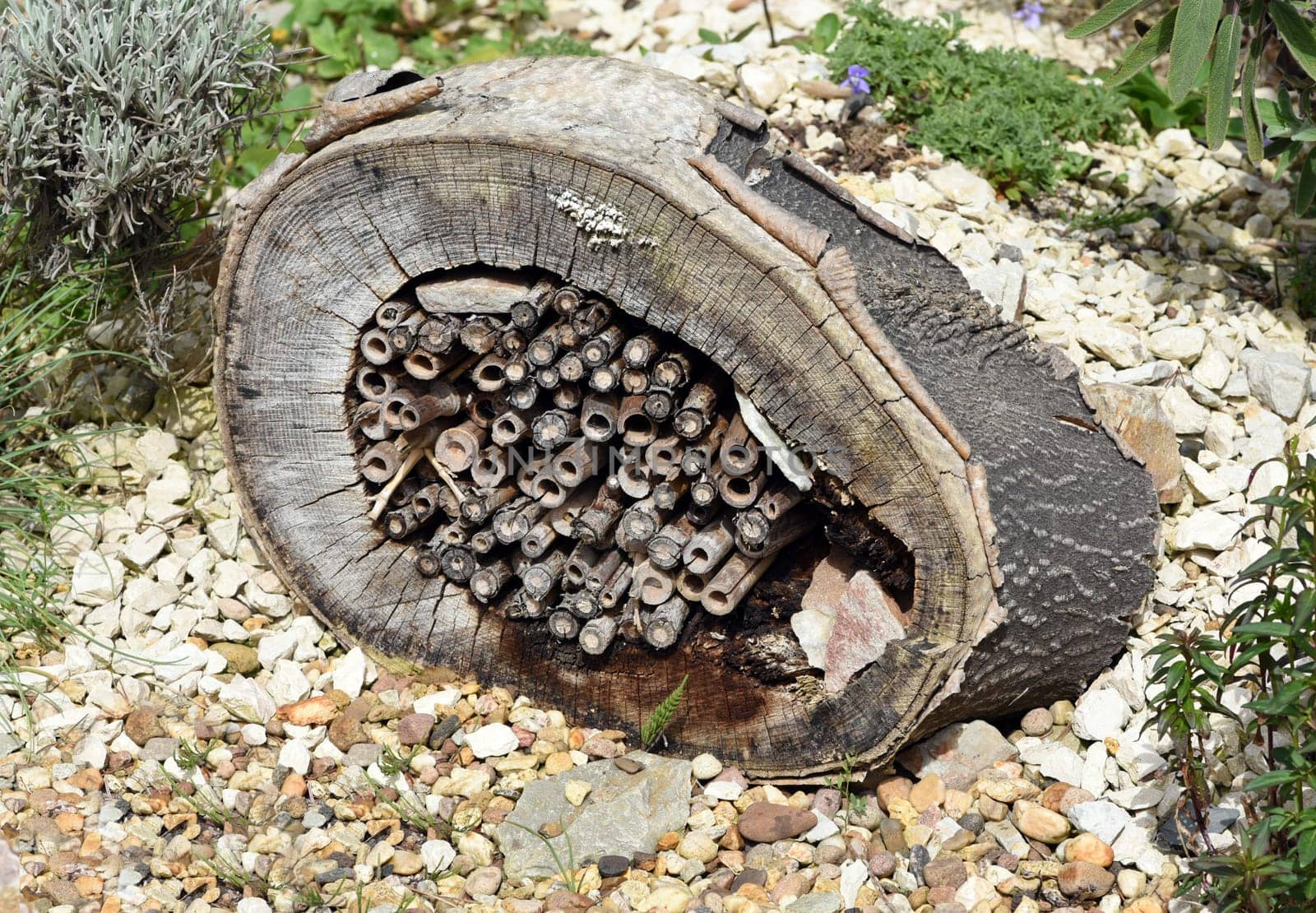 Insect hotels serve as shelter and breeding grounds for insects,especially wild bees. Insect hotels serve insects,especially wild bees,as a shelter and breeding ground.