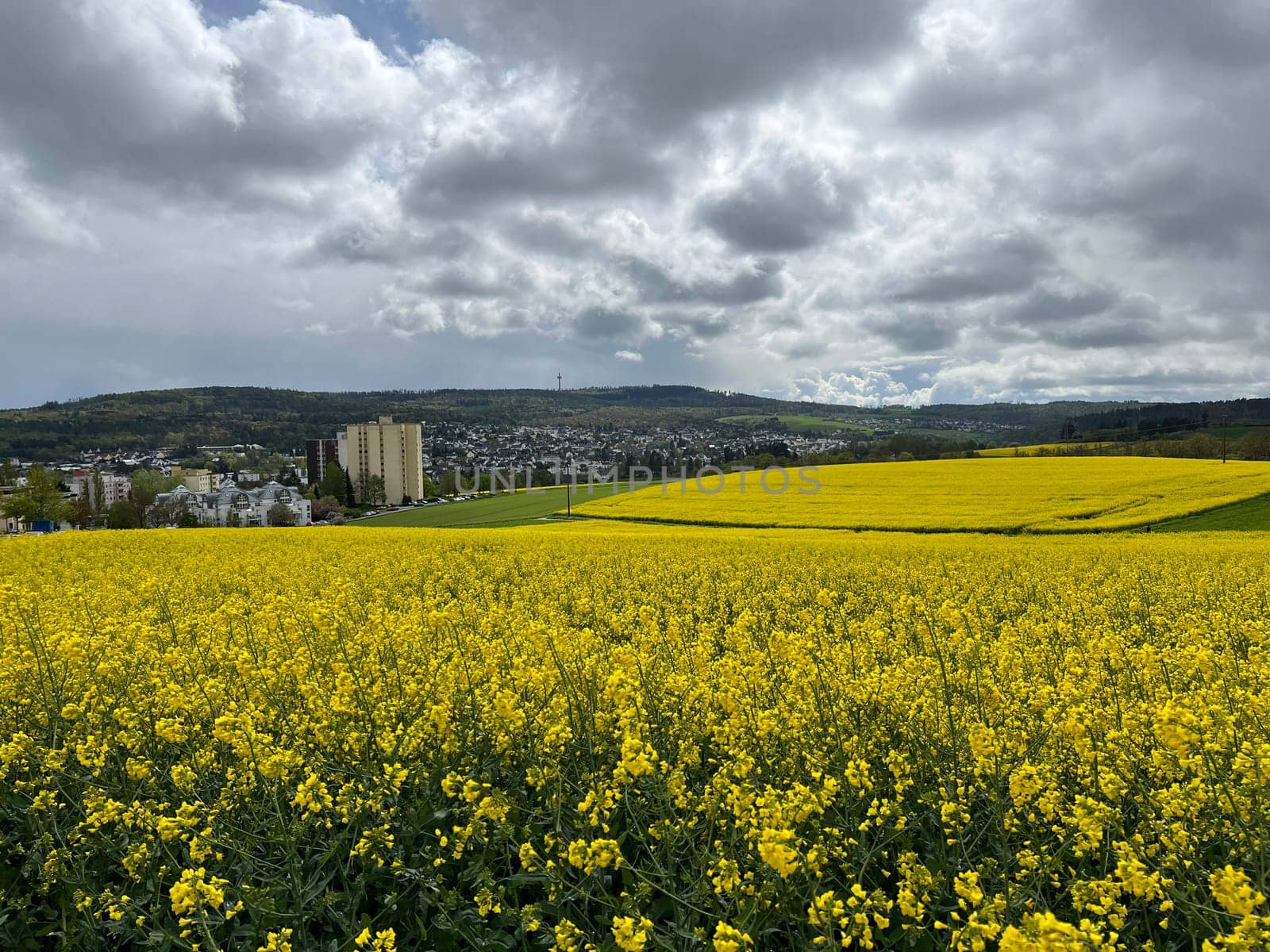 Stratocumulus,stratocumuli,commonly known as stratocumuli,are cluster layer clouds without fibers and form similar to cumulus clouds. A nice contrast to the rapeseed field. Stratocumulus,stratocumuli,commonly known as stratocumuli,are cumulus clouds without fibers and are formed in a similar way to cumulus clouds. A nice contrast to the rapeseed field