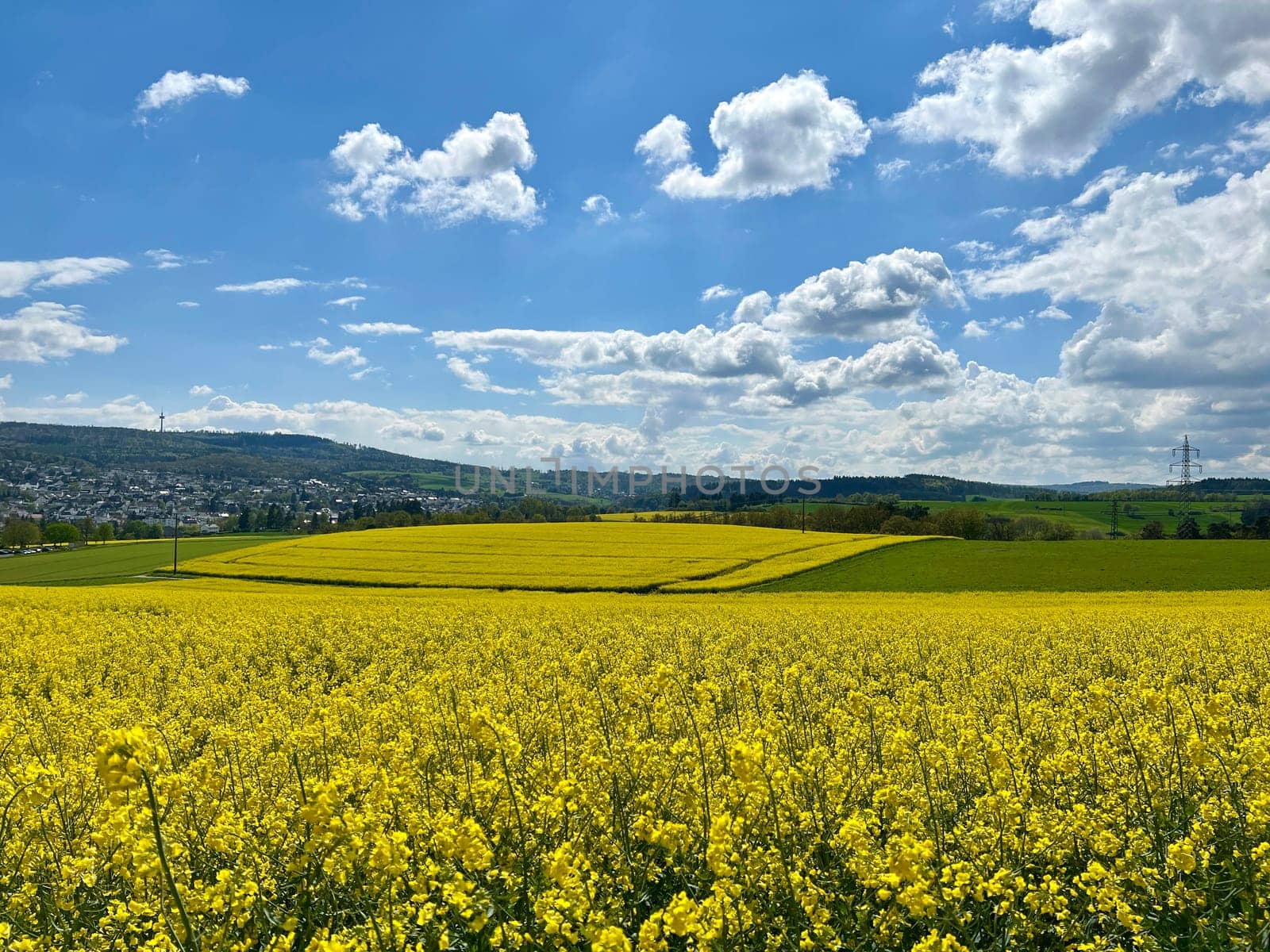 Stratocumulus,stratocumuli,commonly known as stratocumuli,are cluster layer clouds without fibers and form similar to cumulus clouds. A nice contrast to the rapeseed field. Stratocumulus,stratocumuli,commonly known as stratocumuli,are cumulus clouds without fibers and are formed in a similar way to cumulus clouds. A nice contrast to the rapeseed field