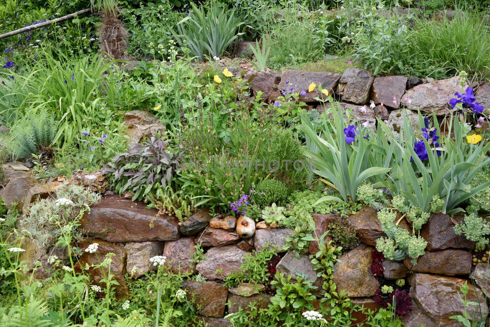 Dry stone walls in the garden are well suited for many herbs and at the same time a biotope for many animals. Dry stone walls in the garden are well suited for many herbs and at the same time a biotope for many animals.